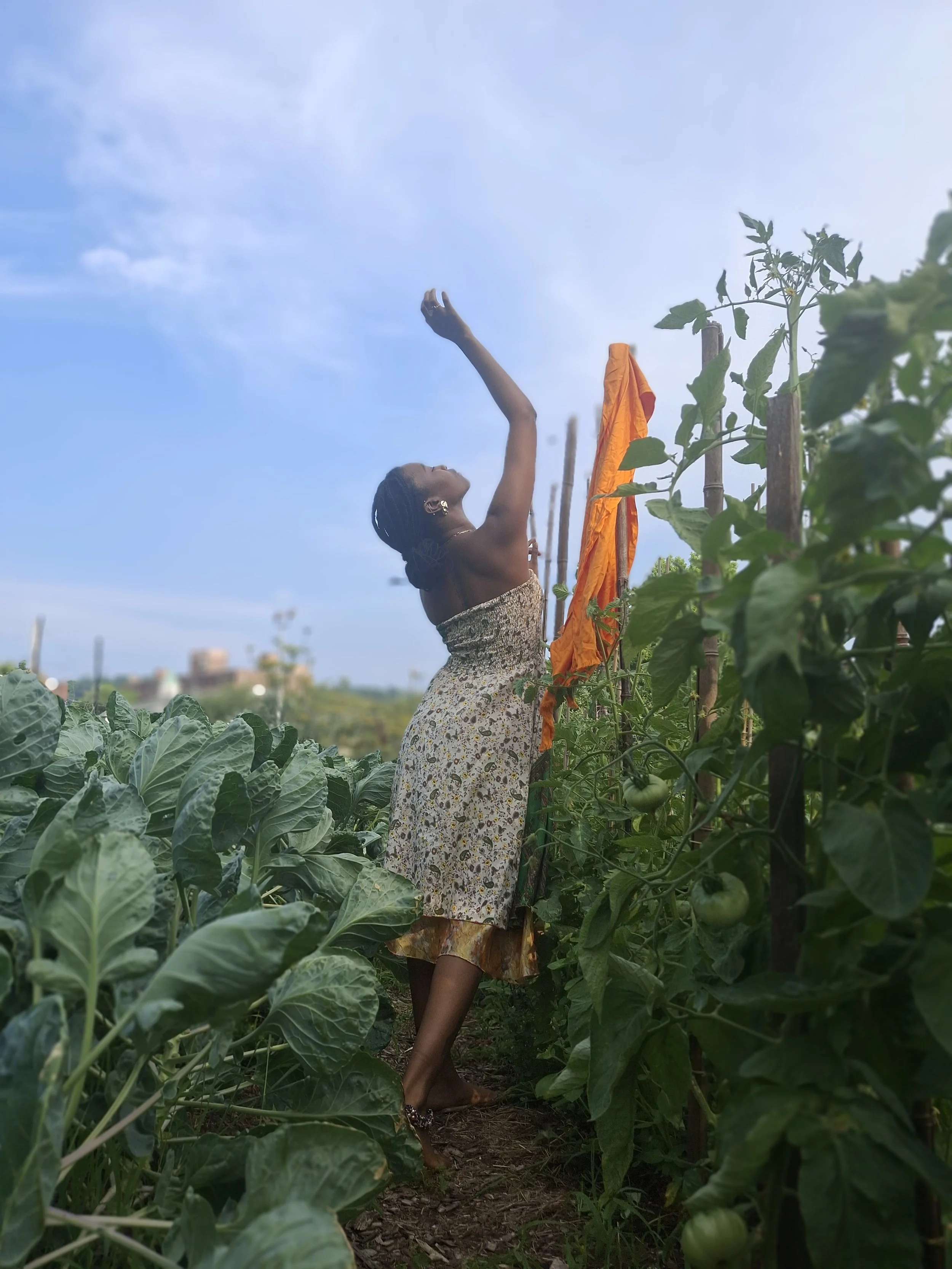 A woman standing in a vegetable garden, reaching upward with her arm extended, surrounded by tomato plants and leafy greens, with a blue sky overhead.