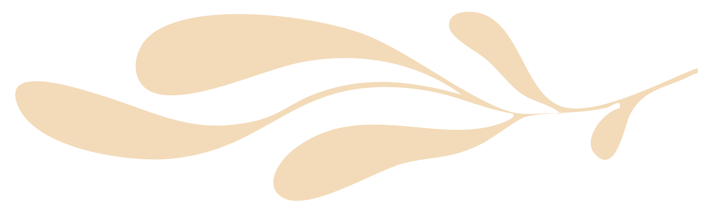 Minimalist beige leaf design on black background