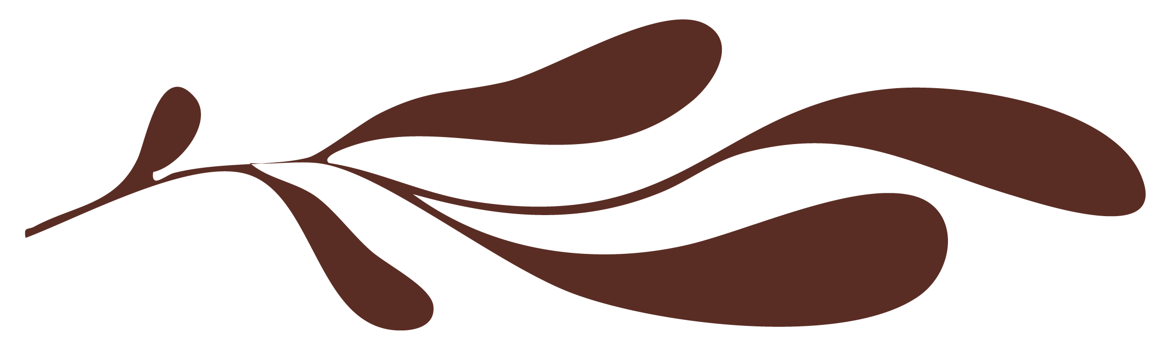 Stylized brown illustration of a branch with oval-shaped leaves.