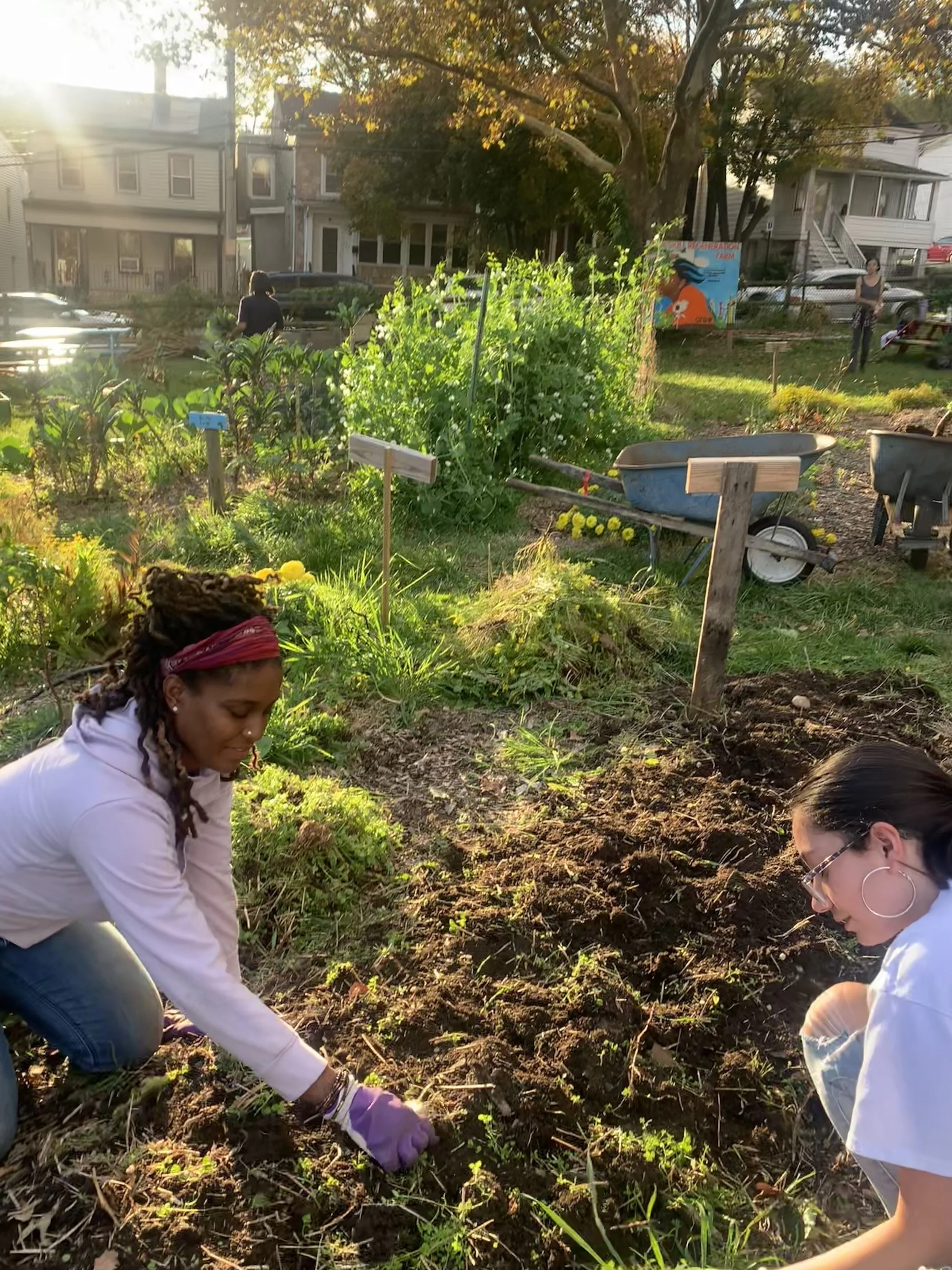 Two women gardening in a community garden with houses in the background, soil in the foreground, and sunlight.