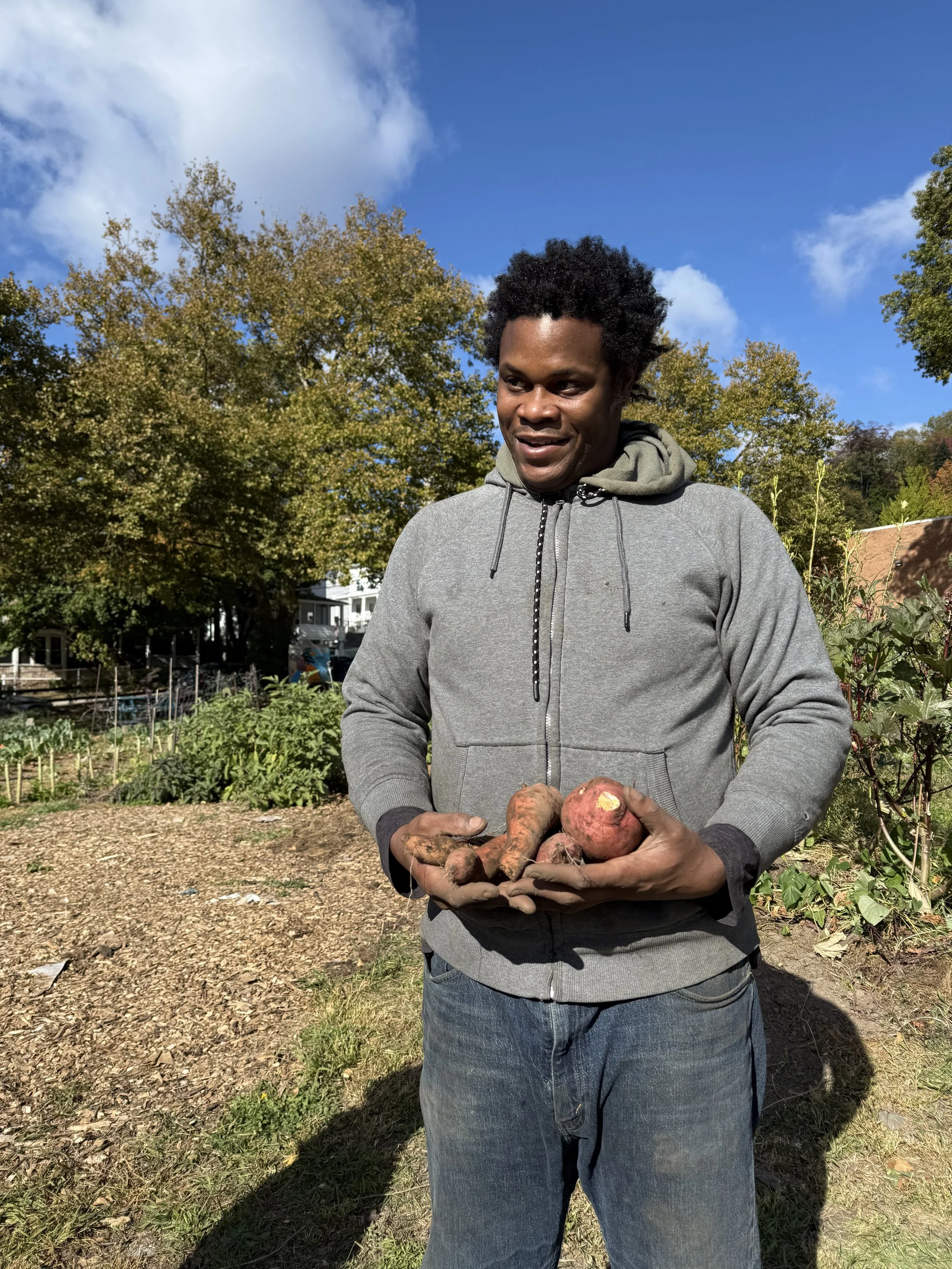 Man holding freshly harvested sweet potatoes in a garden with trees and blue sky in the background.