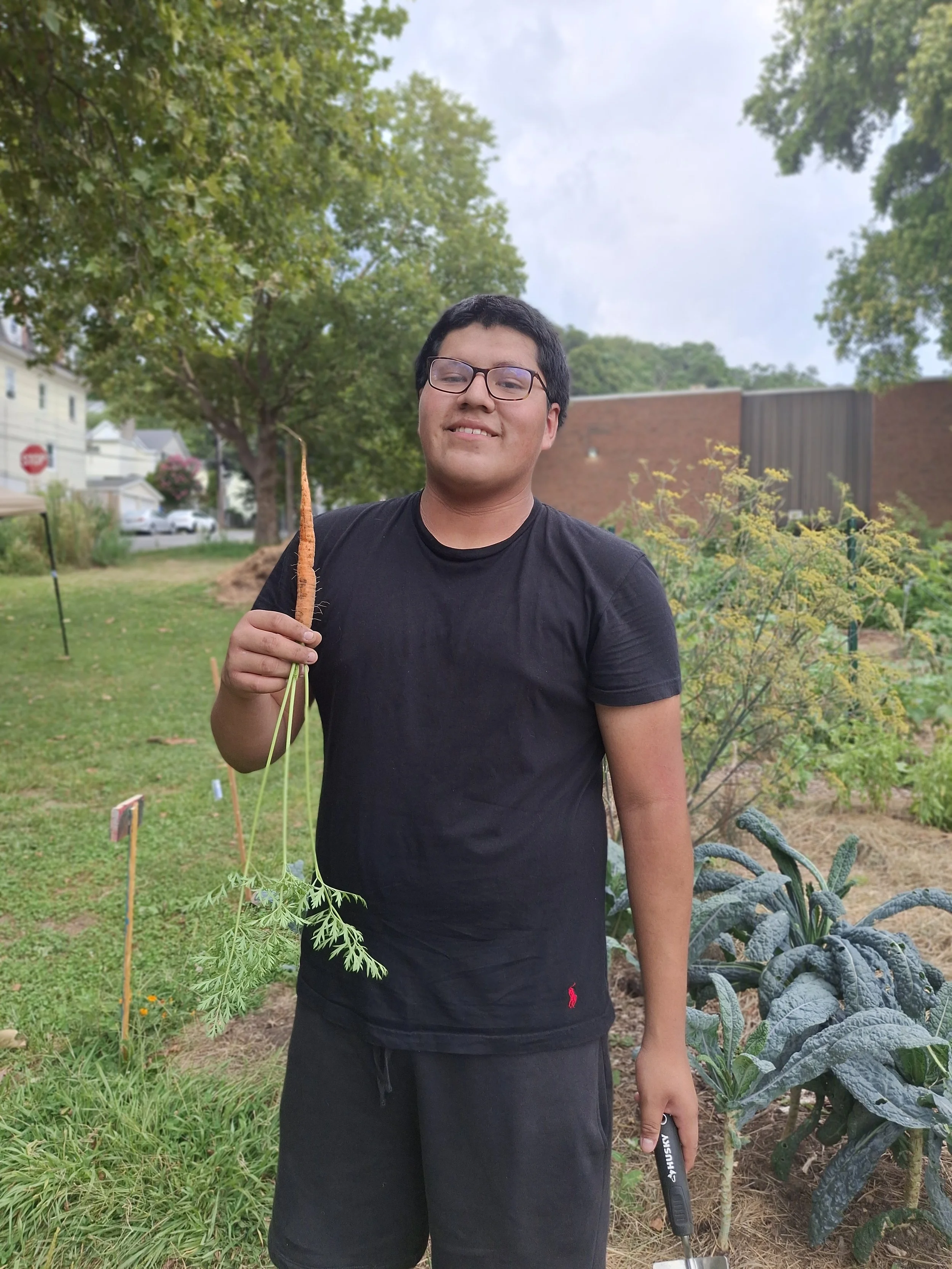 A young man with glasses wearing a black t-shirt and shorts standing in a garden holding a large freshly harvested carrot.