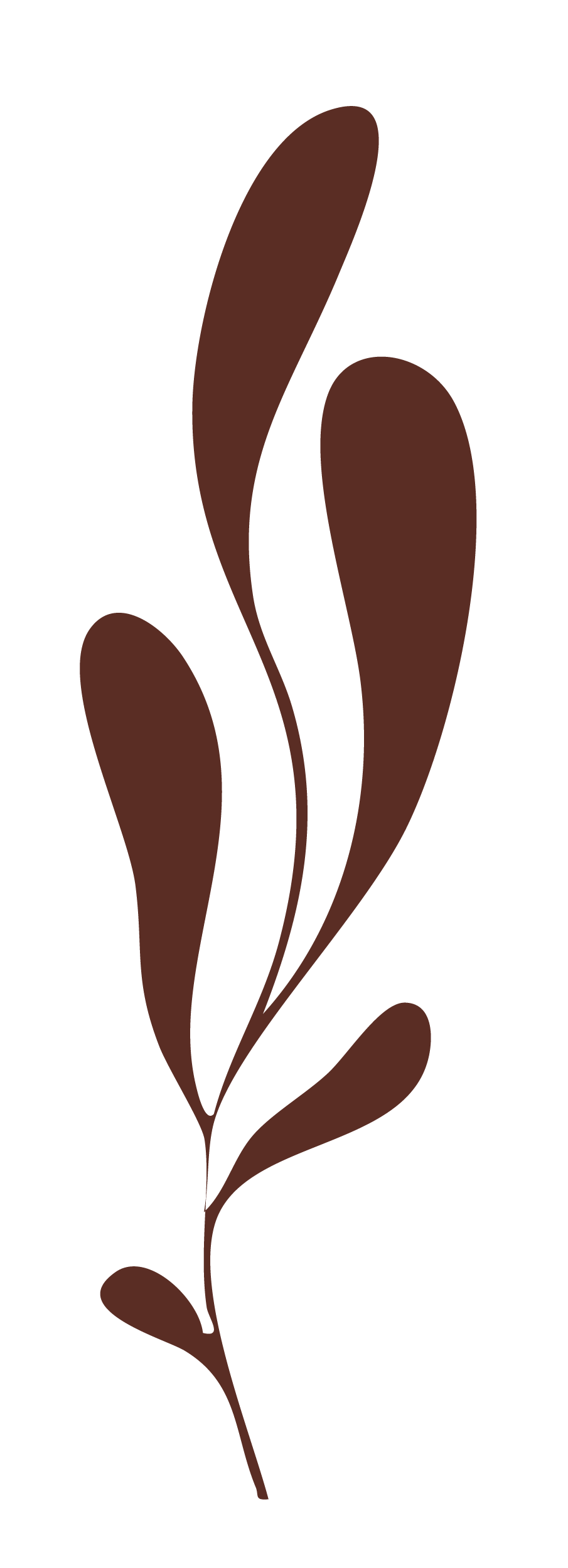 Stylized brown leaf design on a black background.