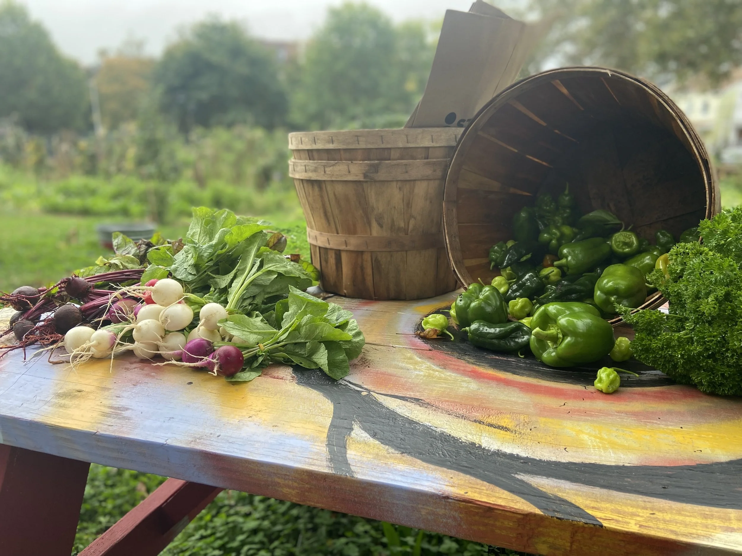 Freshly harvested radishes and bell peppers on a colorful wooden table outdoors.