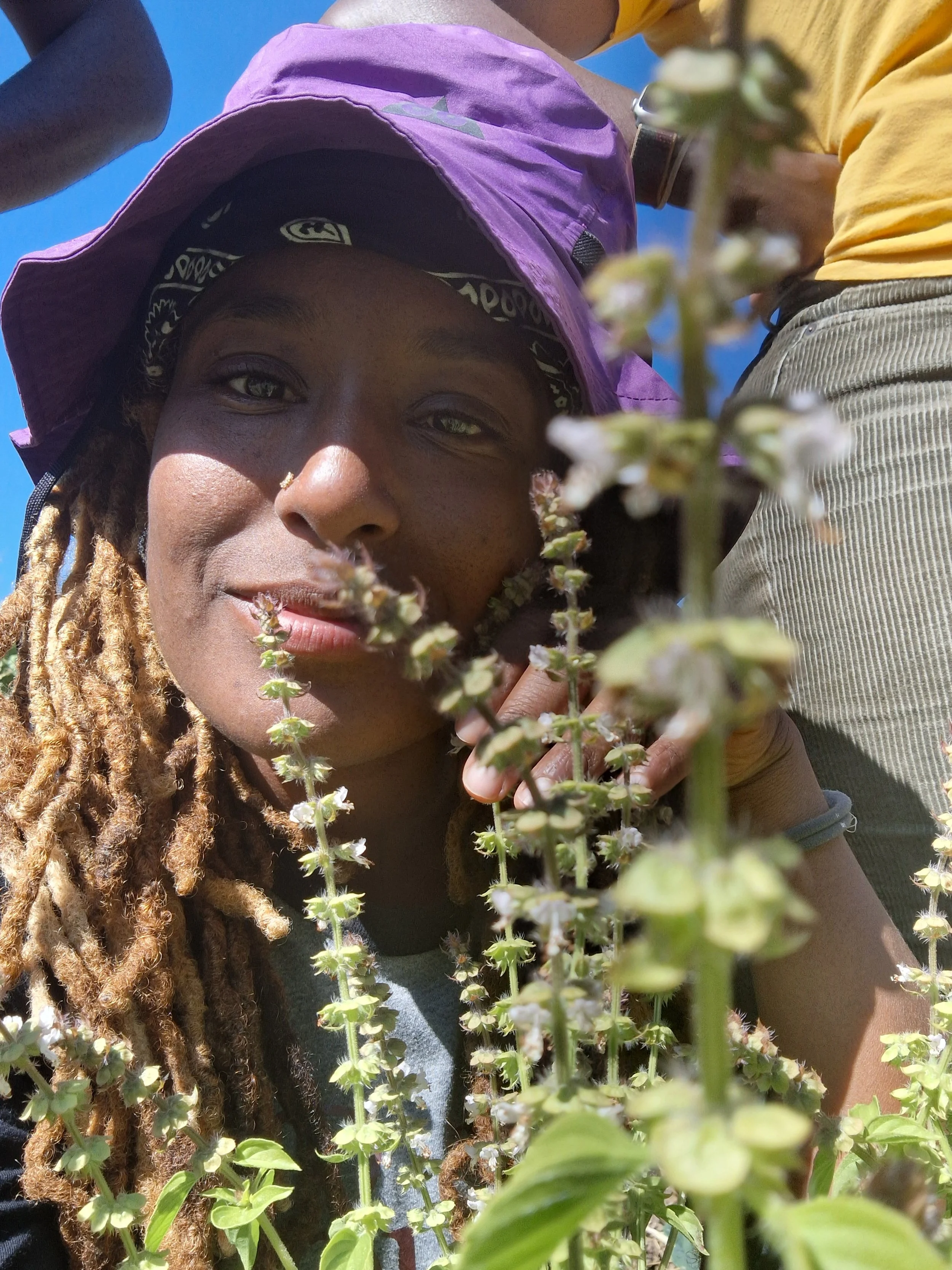 A woman with dreadlocks wearing a purple hat and a black bandana is smiling and posing behind tall basil plants with small white flowers.