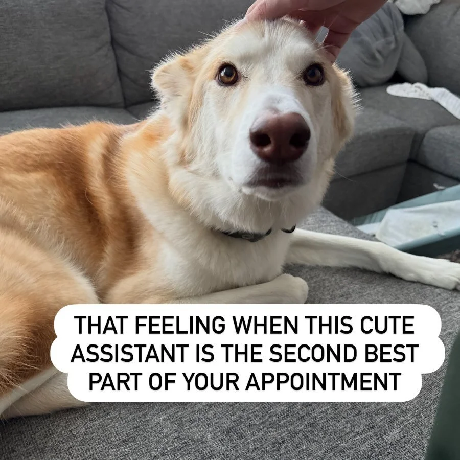 I&rsquo;m sure you&rsquo;re wondering the best part - it&rsquo;s how you&rsquo;ll feel when you walk out of the door. 

When you arrive for your appointment, this cute assistant will make sure you check in and get settled into the office. 

Working w