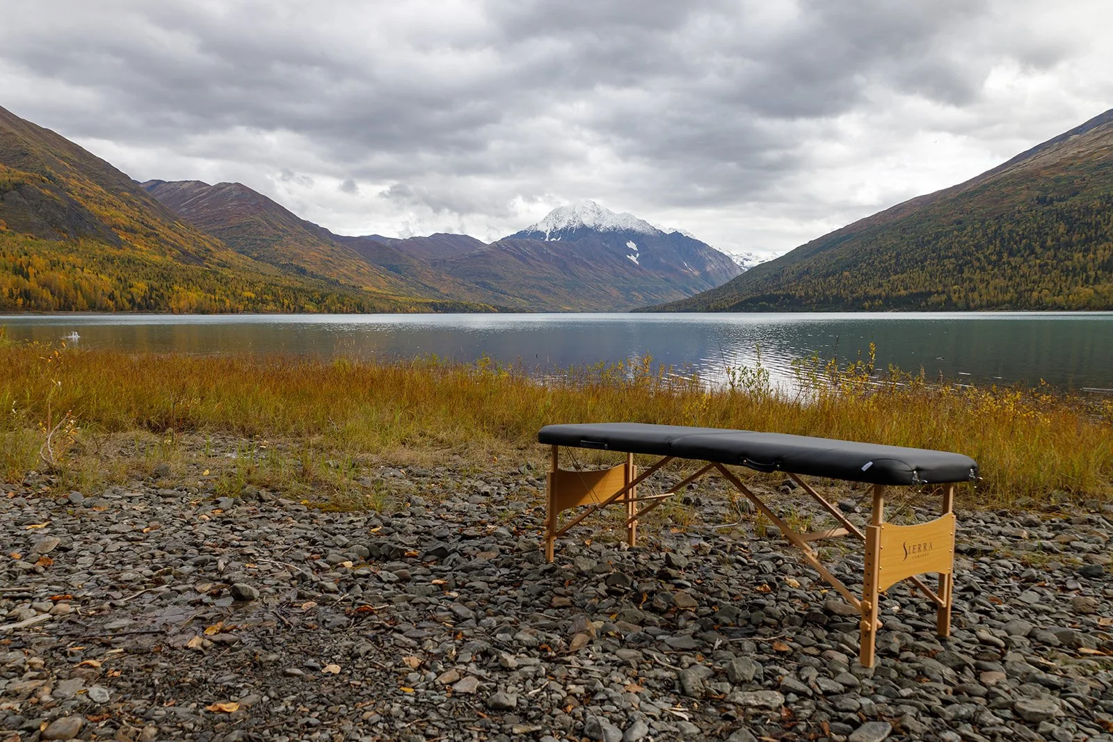 Pain, The Body’s Security System: What to do when it’s on the fritz