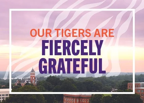 Text overlay on a cityscape background: 'Our Tigers Are Fiercely Grateful.'