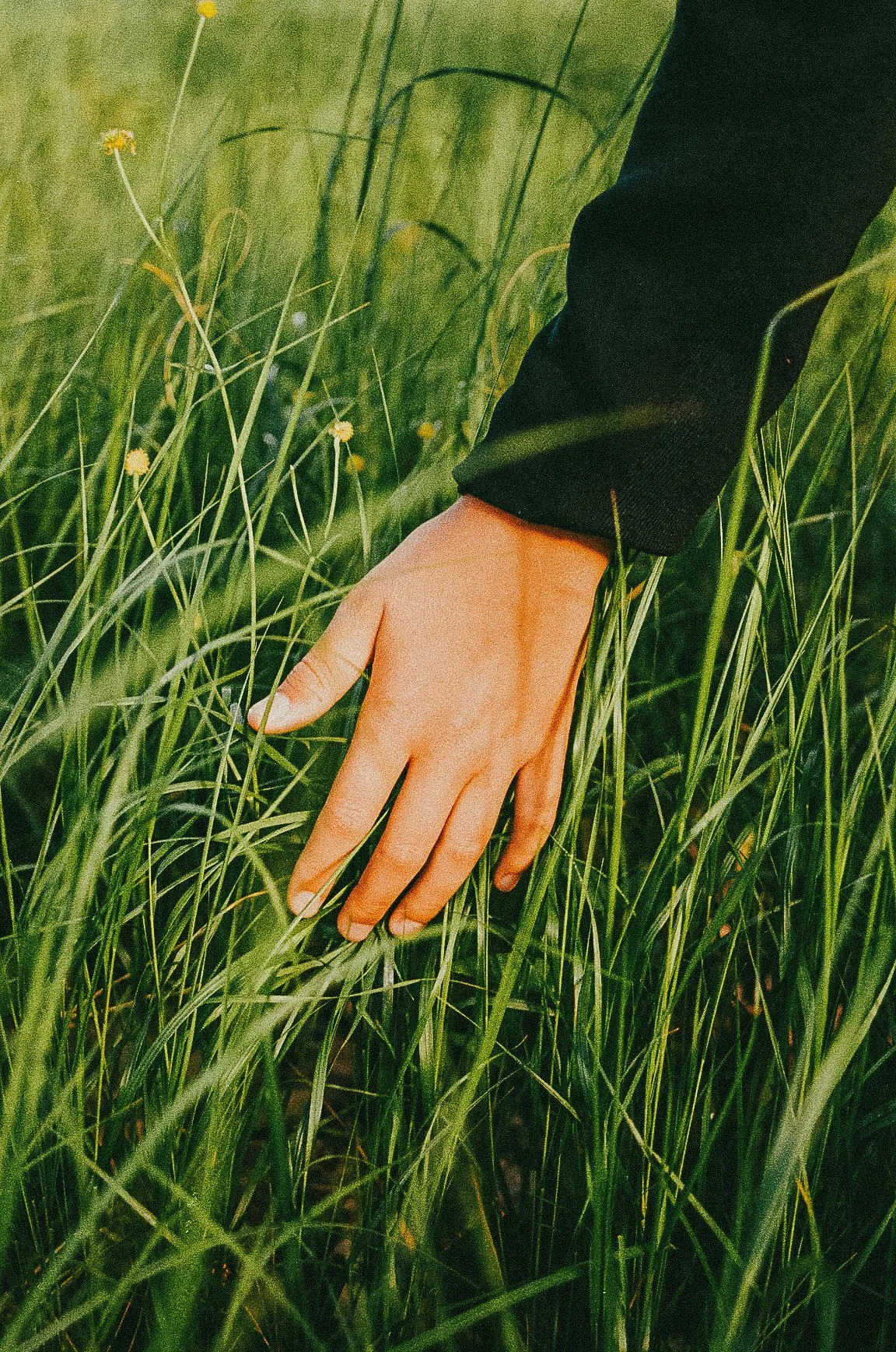 A person's hand is reaching down through tall green grass, wearing a black sleeve.