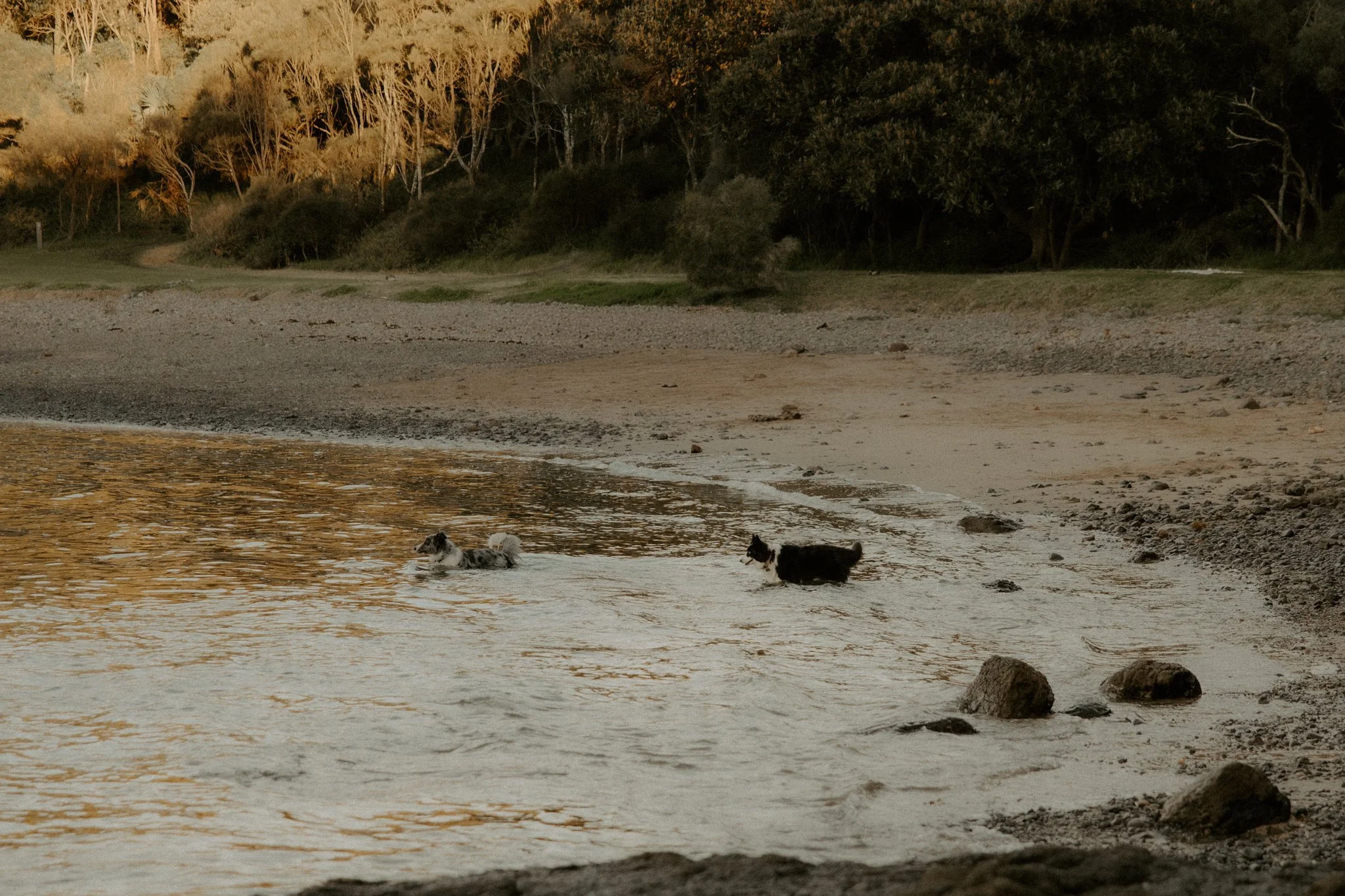 Claudia + Ryan-29.jpg