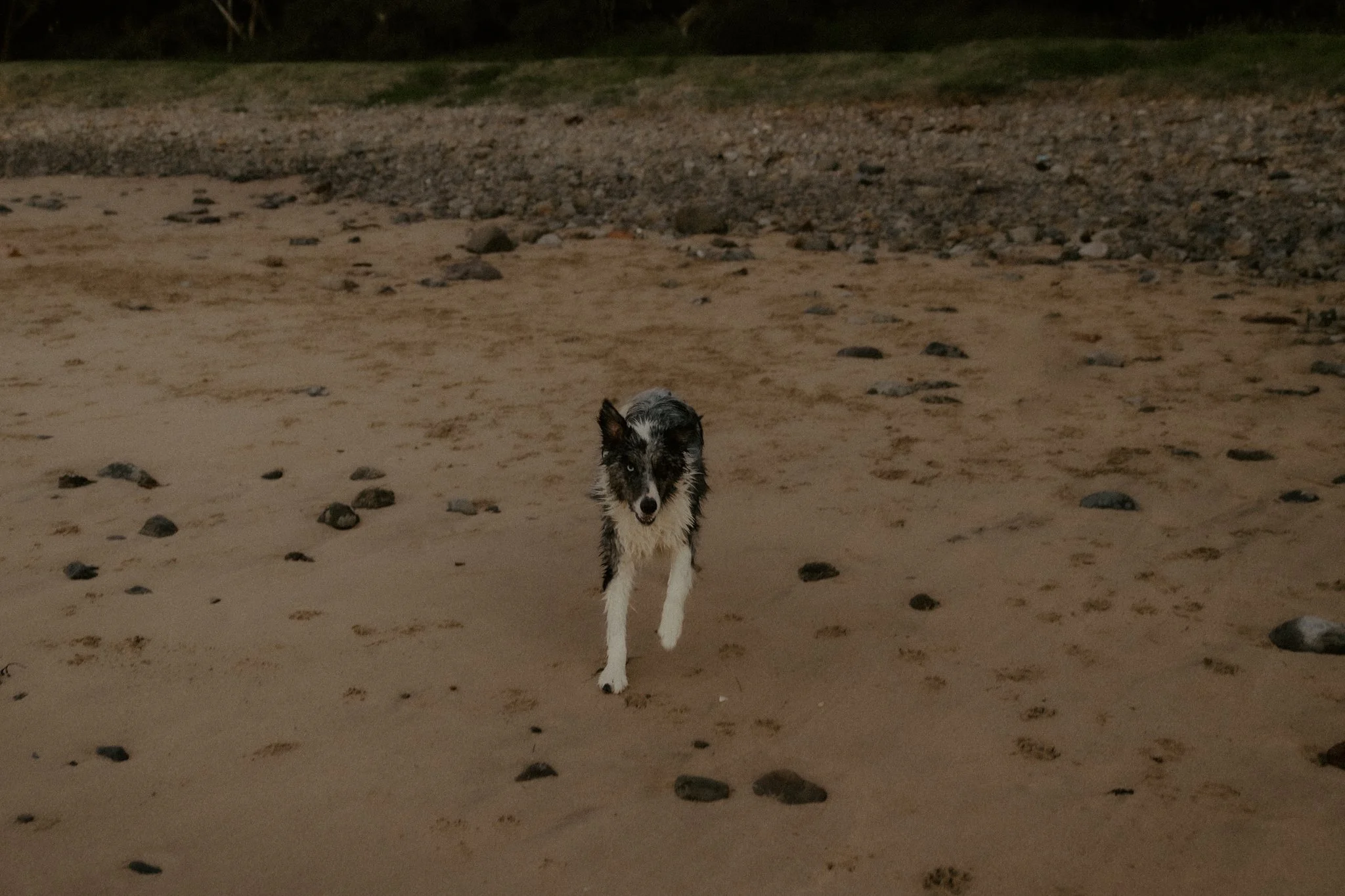 Claudia + Ryan-124.jpg