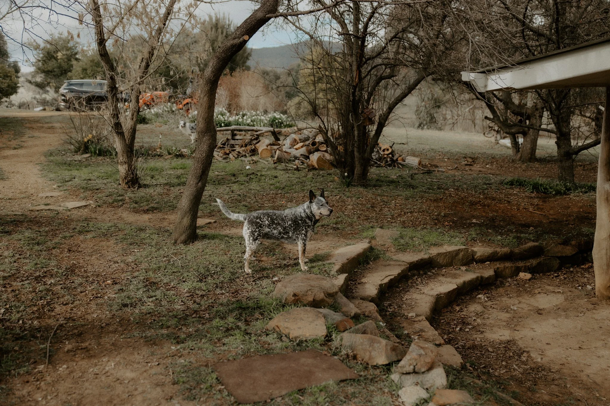 The Nunn Family-23.jpg