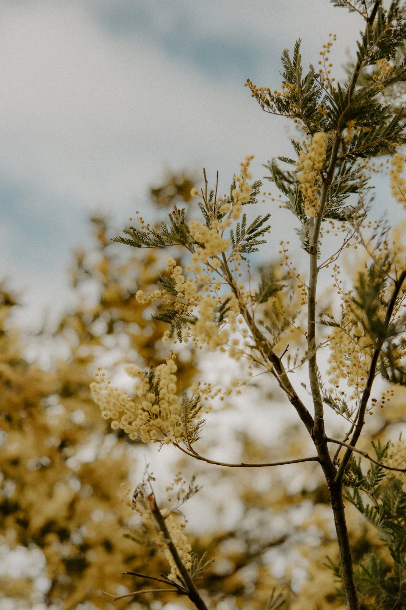 The Nunn Family-81.jpg