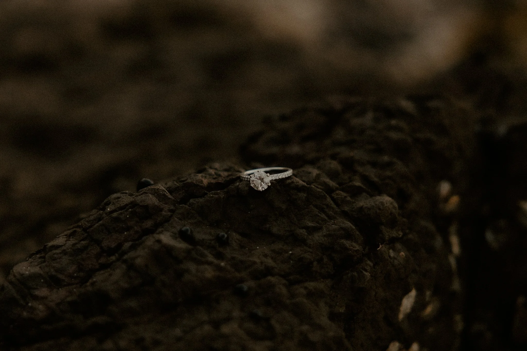 Claudia + Ryan-95.jpg