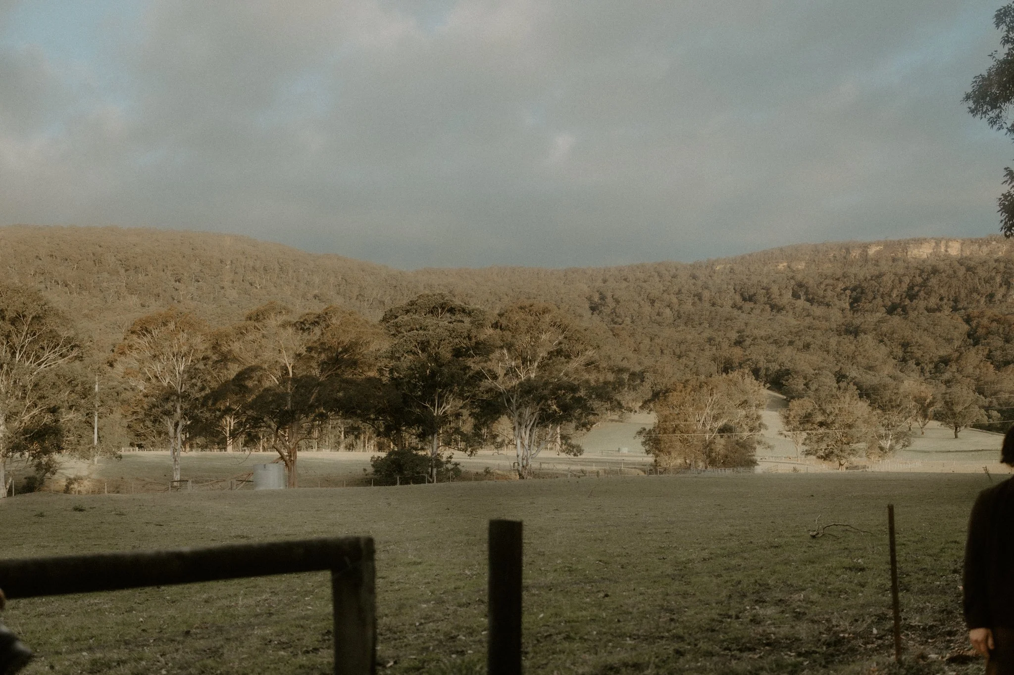 The Tiu Family-23.jpg