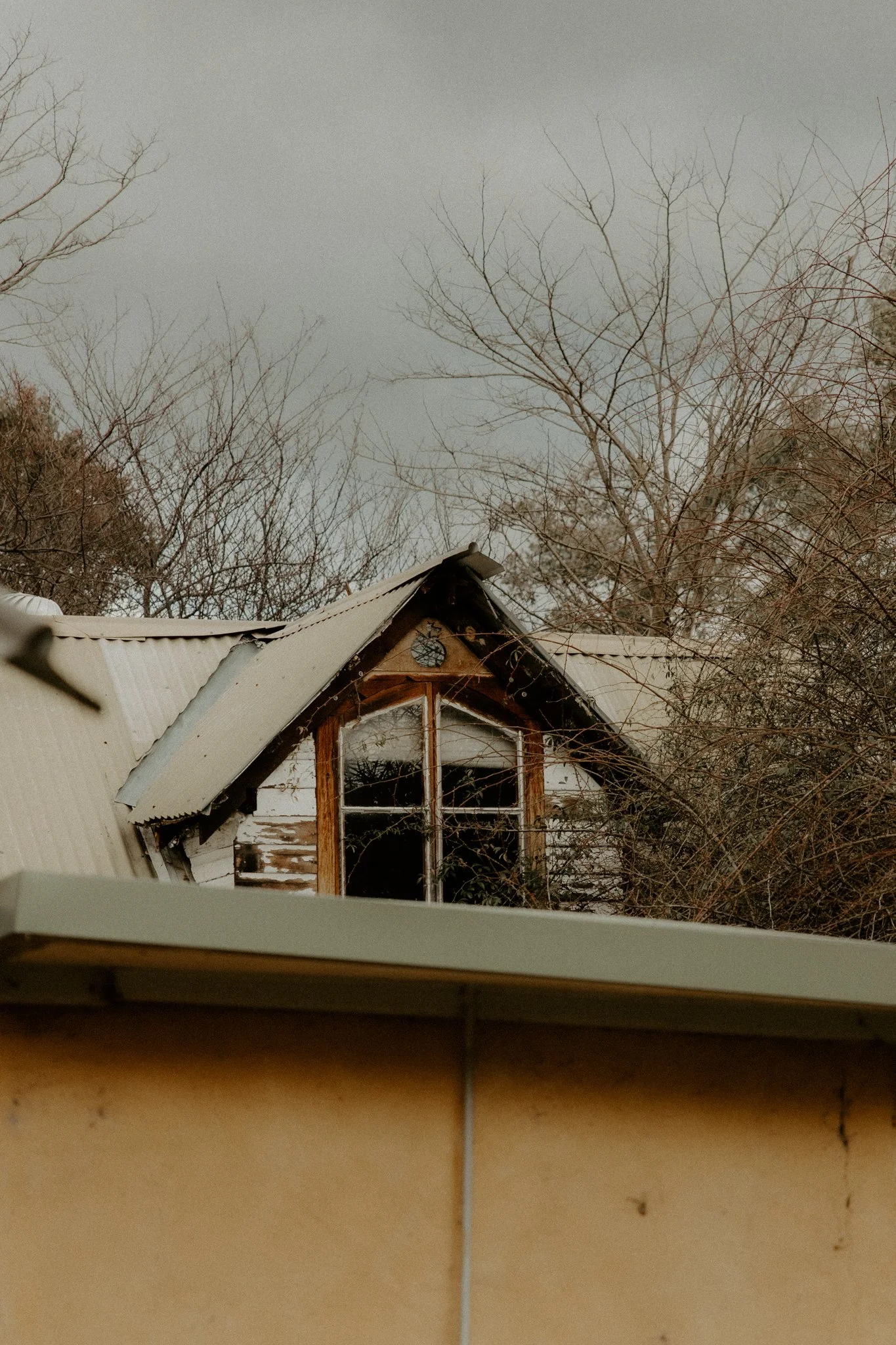 The Nunn Family-58.jpg