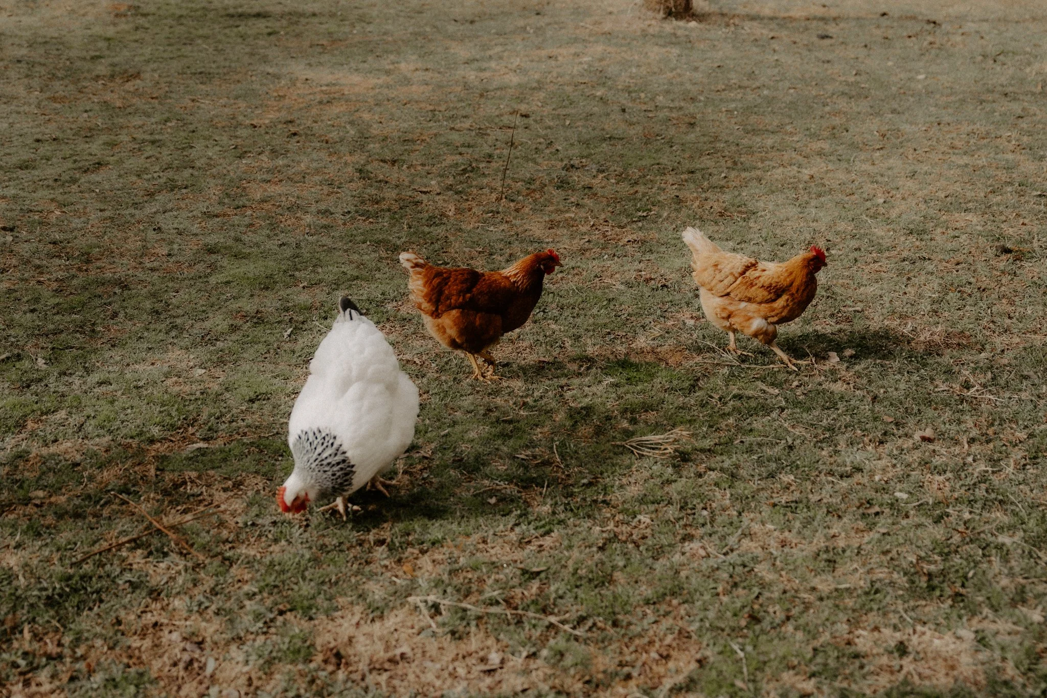 The Nunn Family-51.jpg