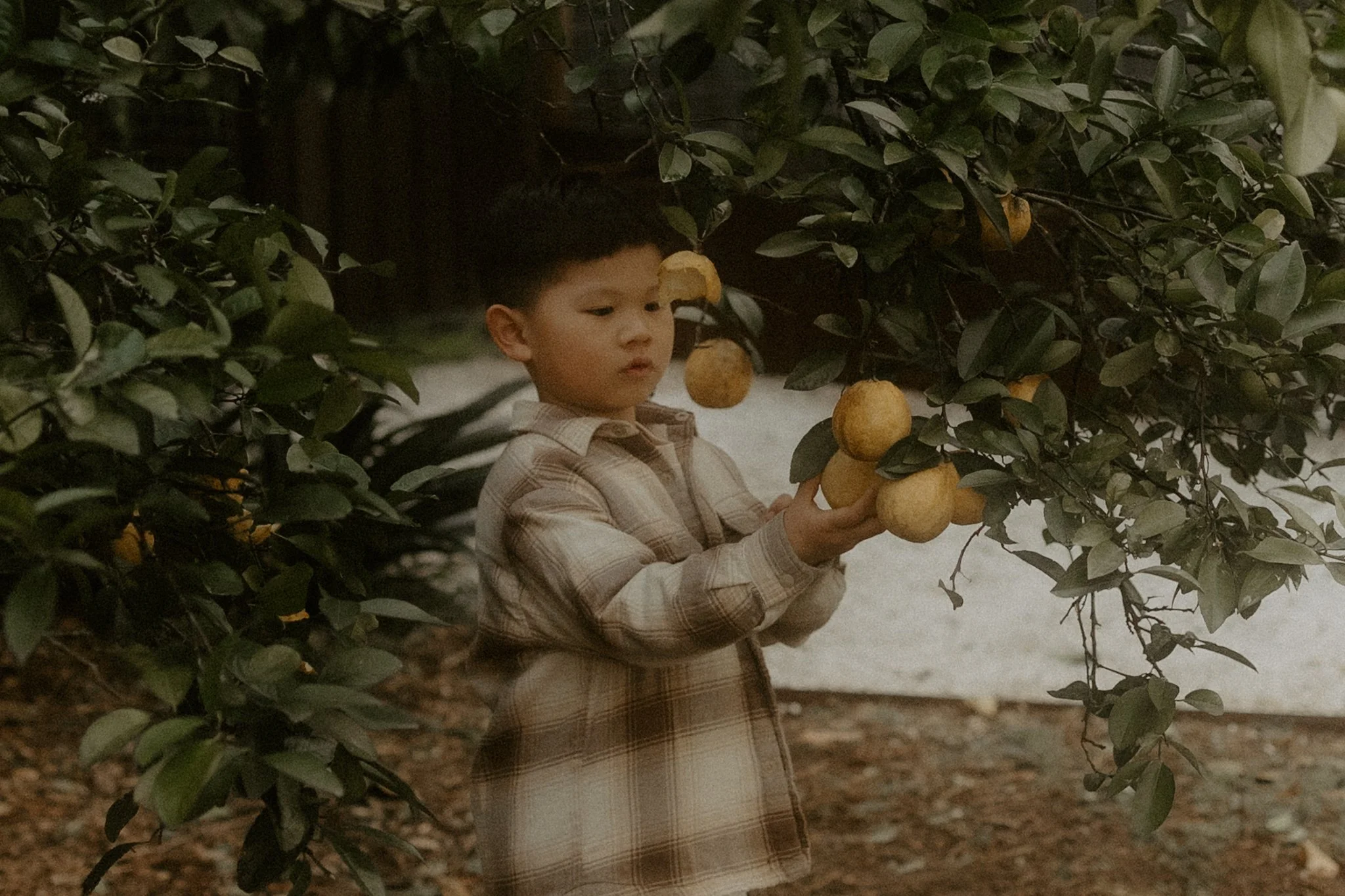 The Tiu Family-67.jpg