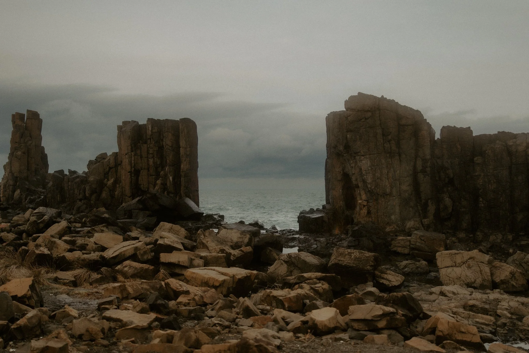 The Lane Family-59.jpg