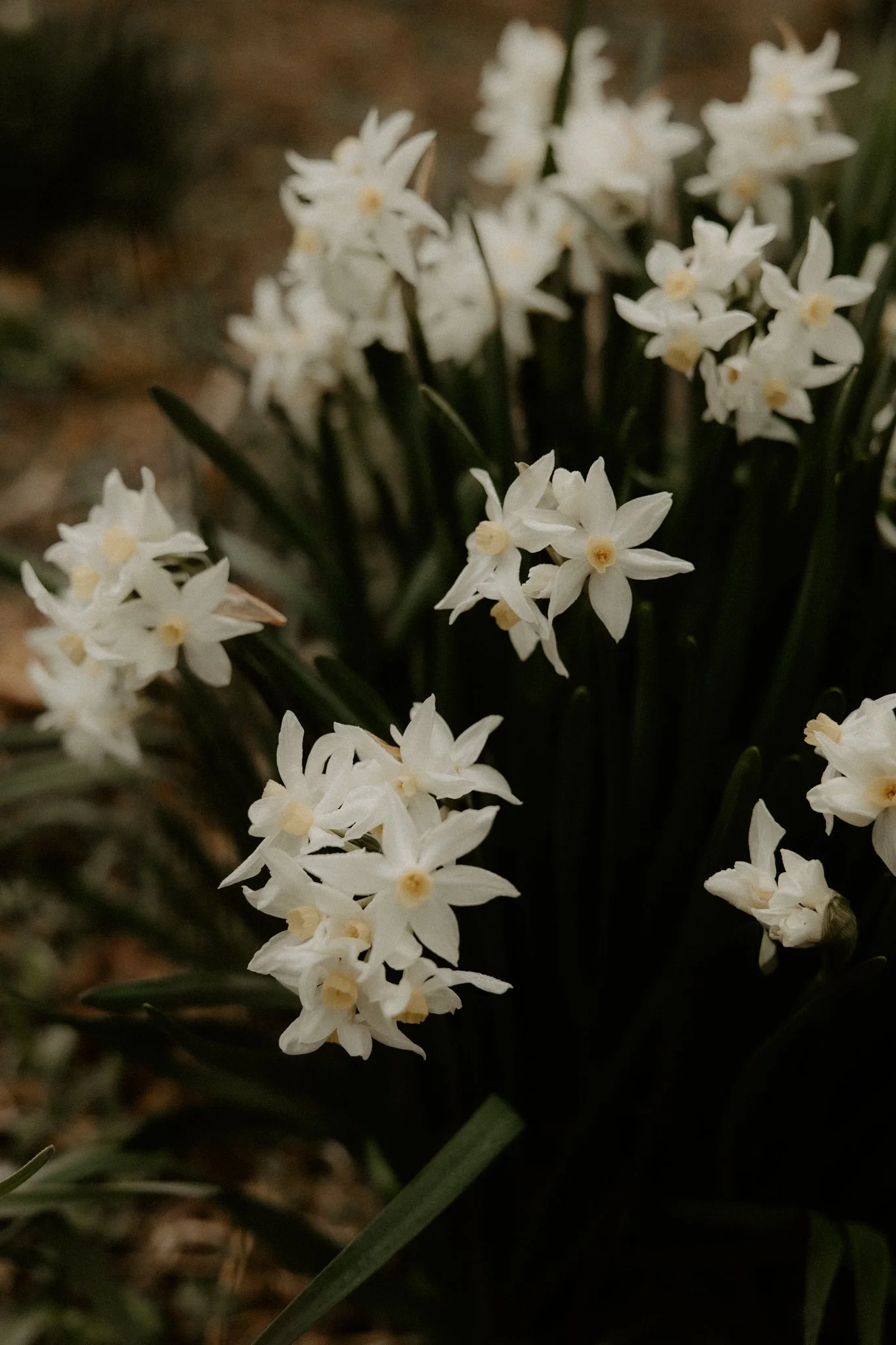 The Nunn Family-54.jpg