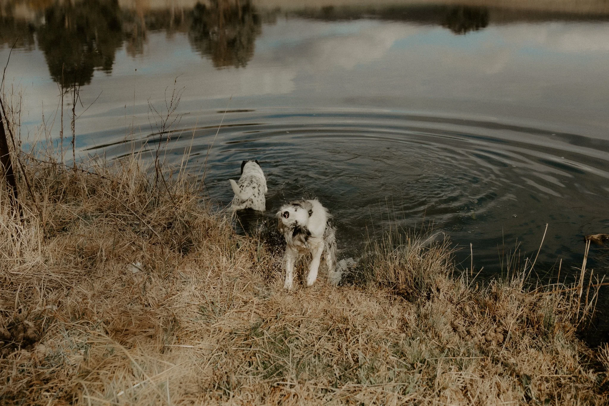 The Nunn Family-24.jpg