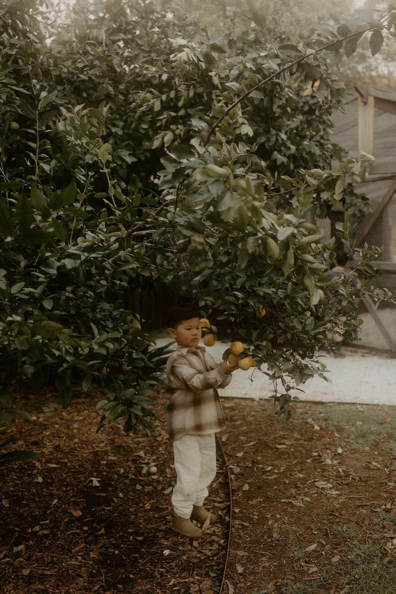 The Tiu Family-66.jpg