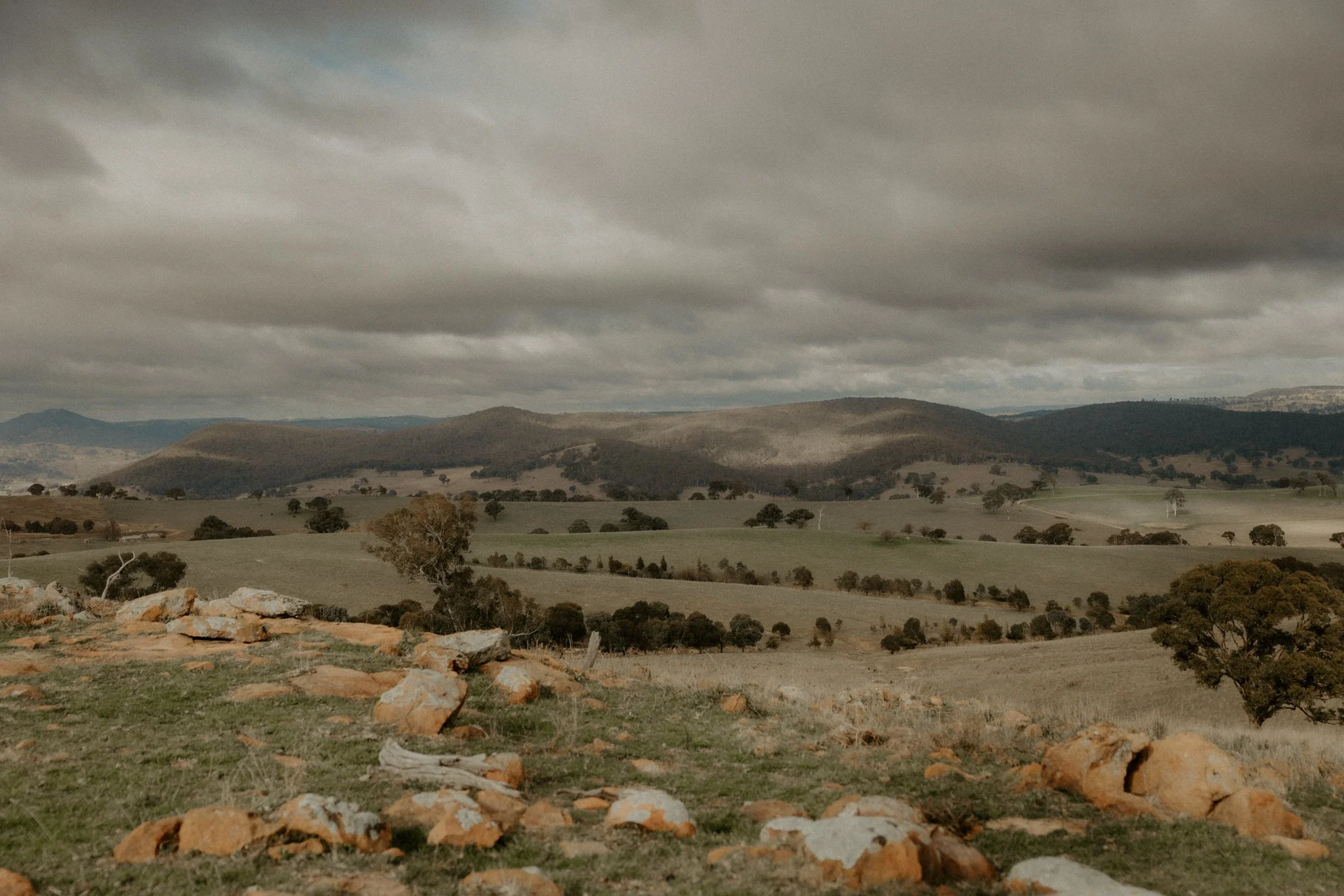 The Nunn Family-10.jpg