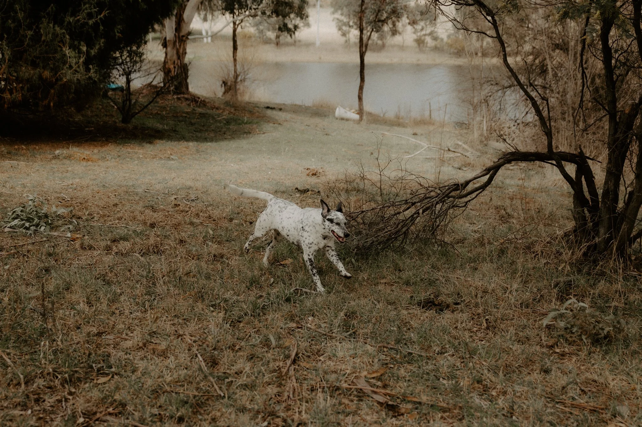 The Nunn Family-56.jpg