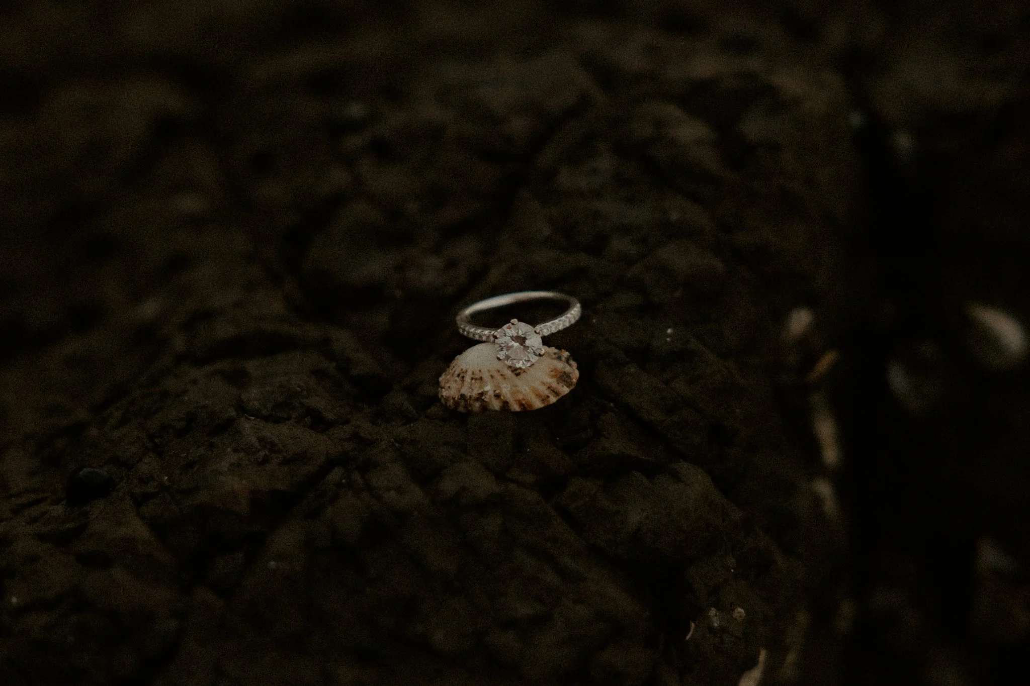 Claudia + Ryan-97.jpg