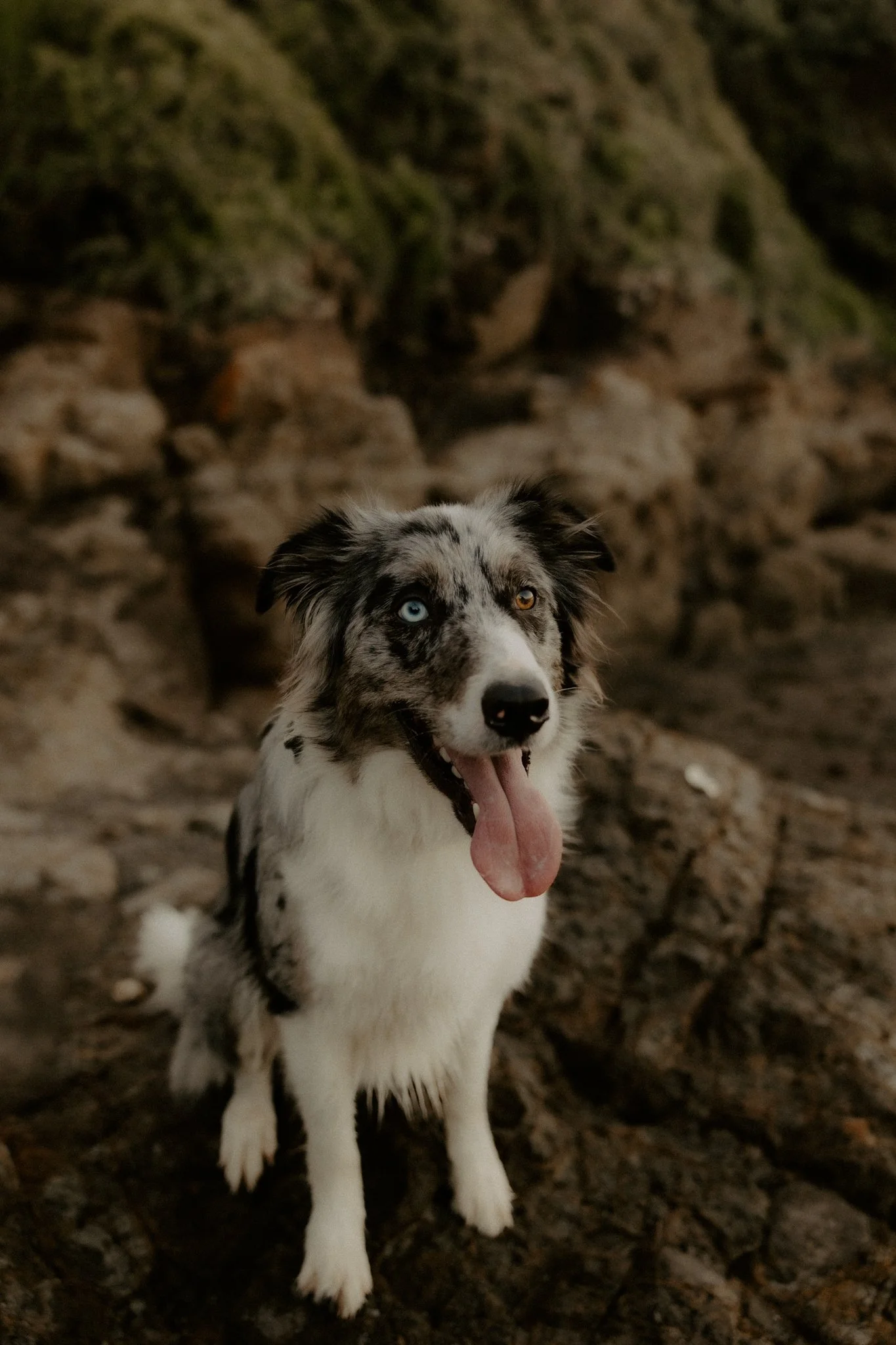 Claudia + Ryan-28.jpg