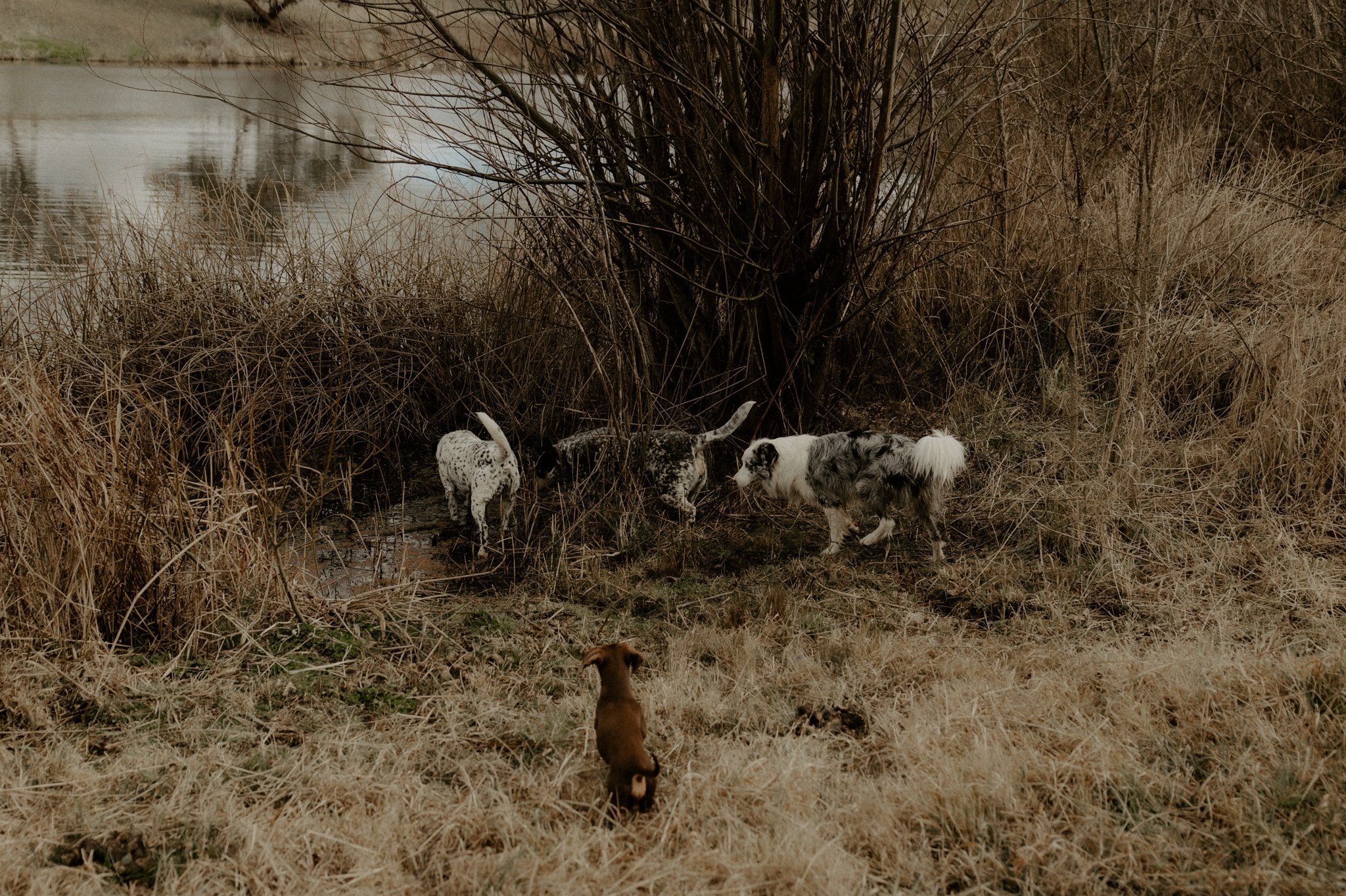 The Nunn Family-28.jpg