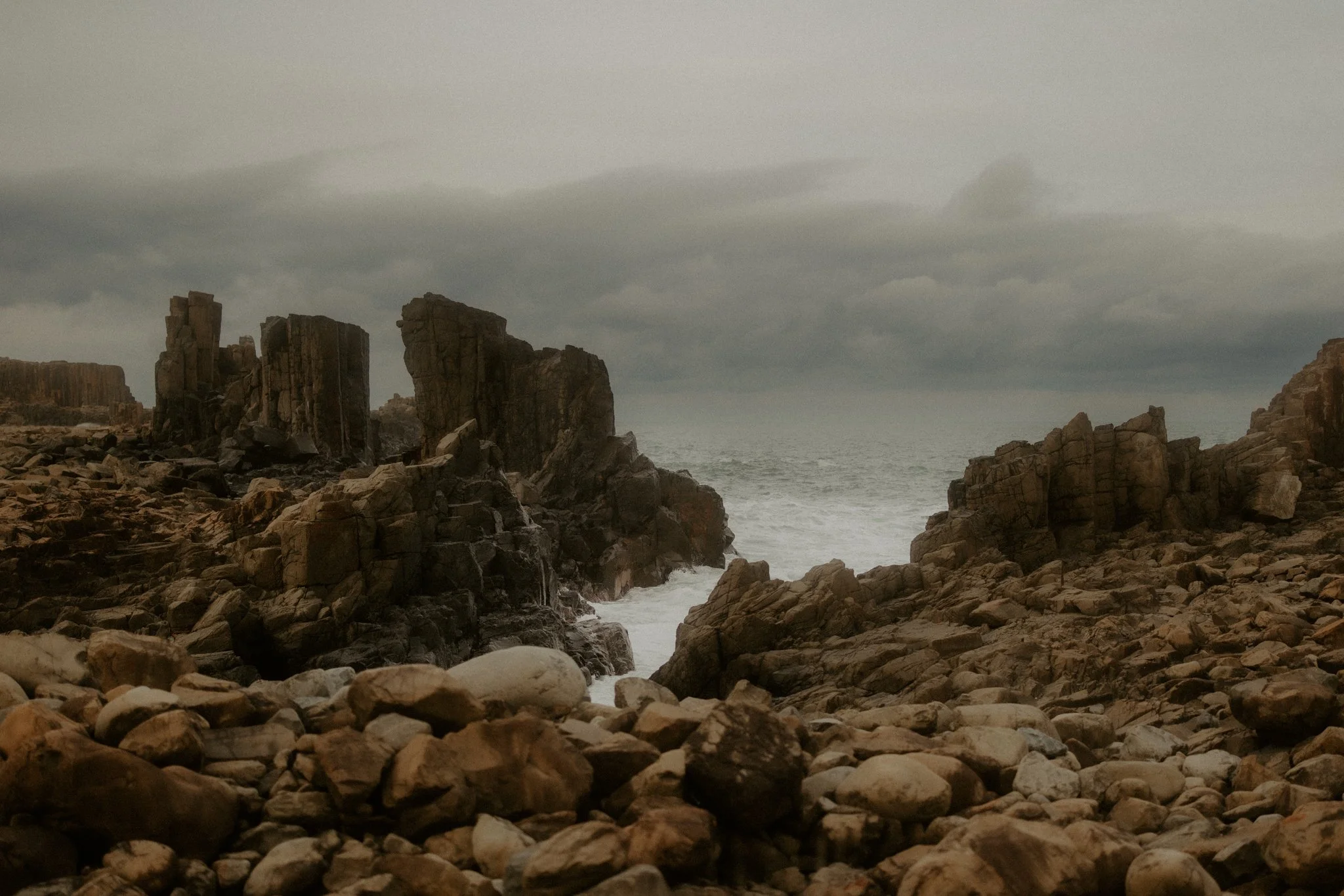 The Lane Family-51.jpg