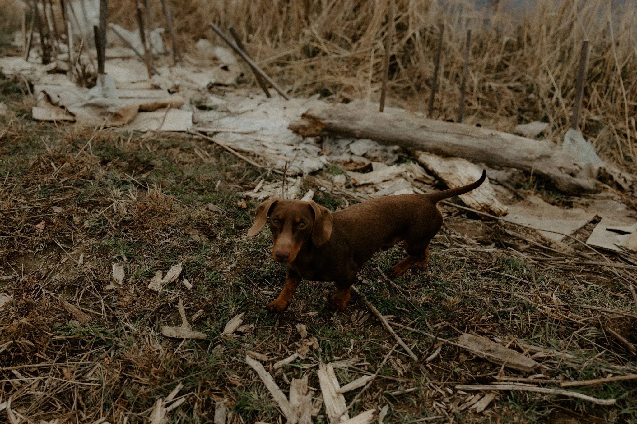 The Nunn Family-33.jpg