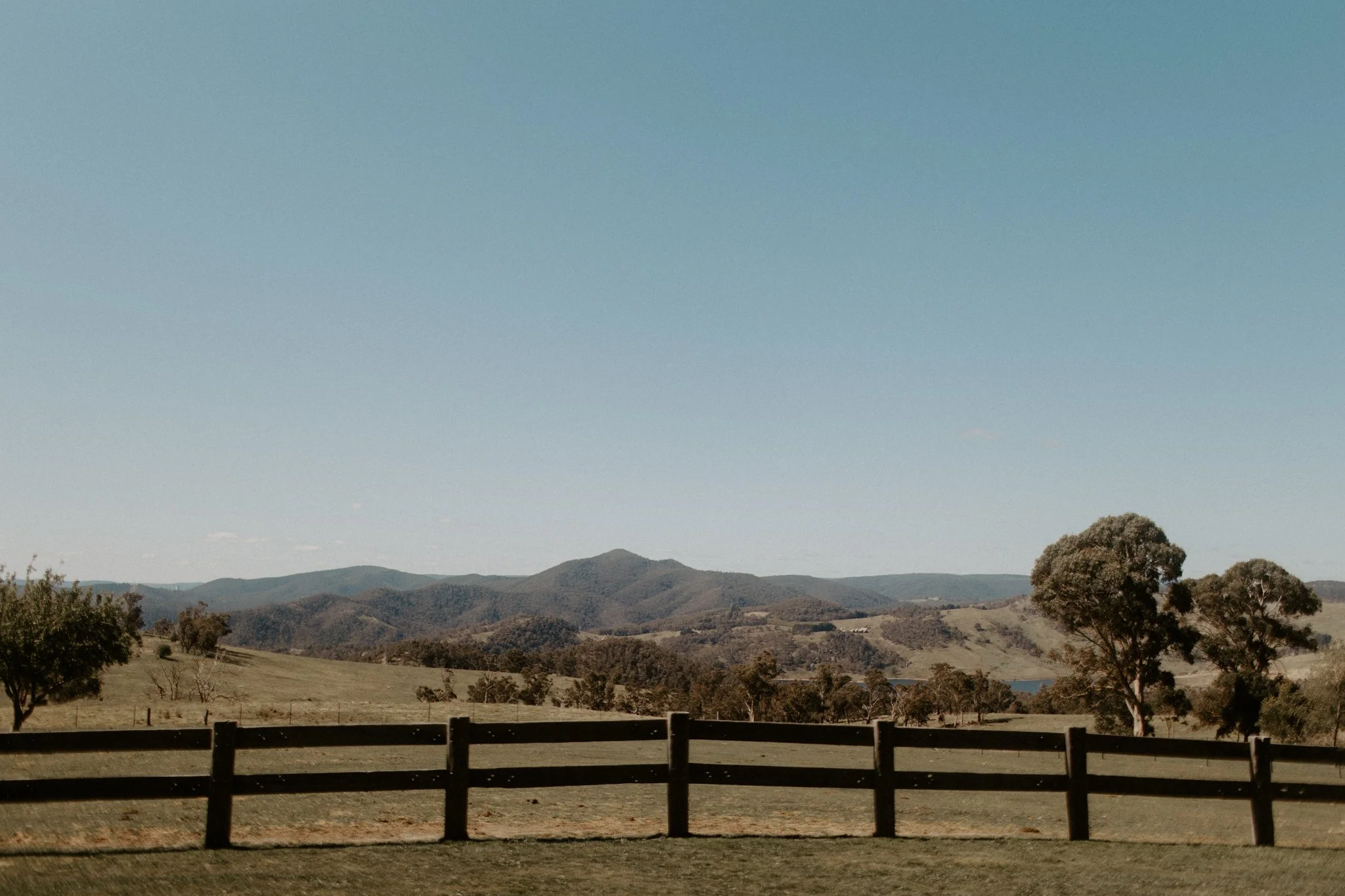 A Blue Mountains micro wedding at Seclusions.