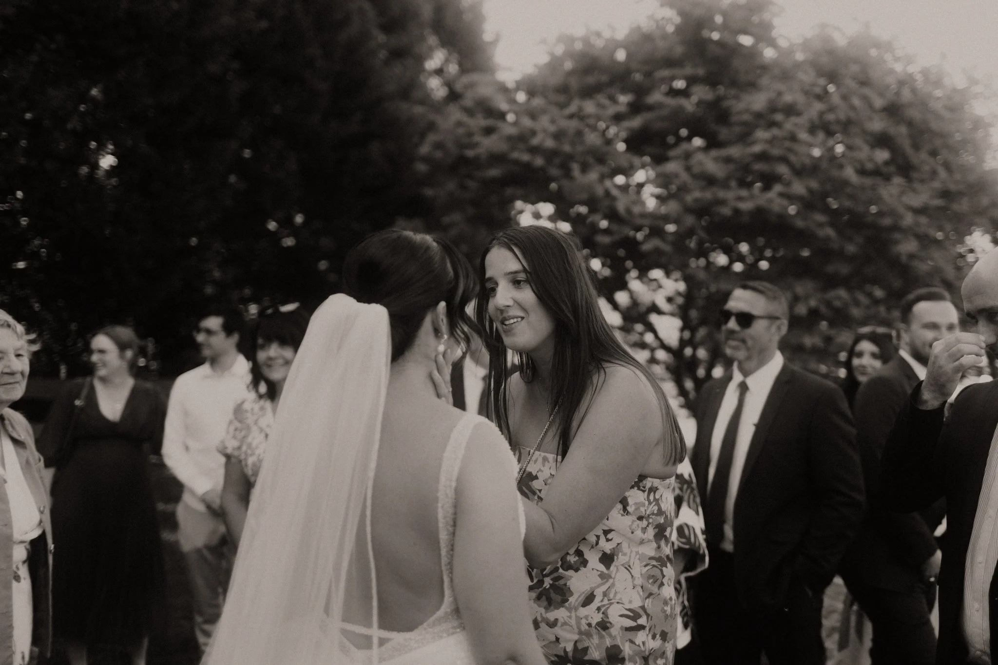 Two women, one wedding bride with a veil, face each other closely and hold hands at an outdoor wedding reception, surrounded by well-dressed guests, and large trees in the background.