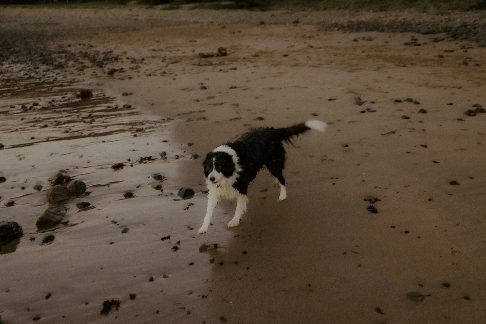 Claudia + Ryan-123.jpg