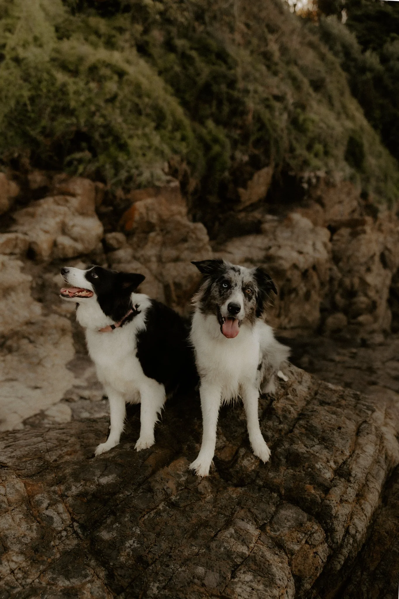 Claudia + Ryan-26.jpg