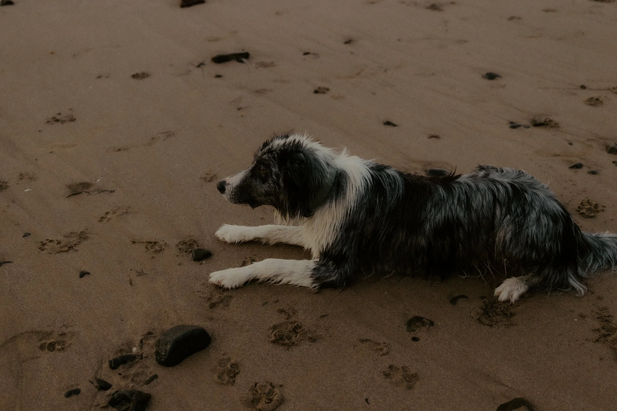 Claudia + Ryan-130.jpg