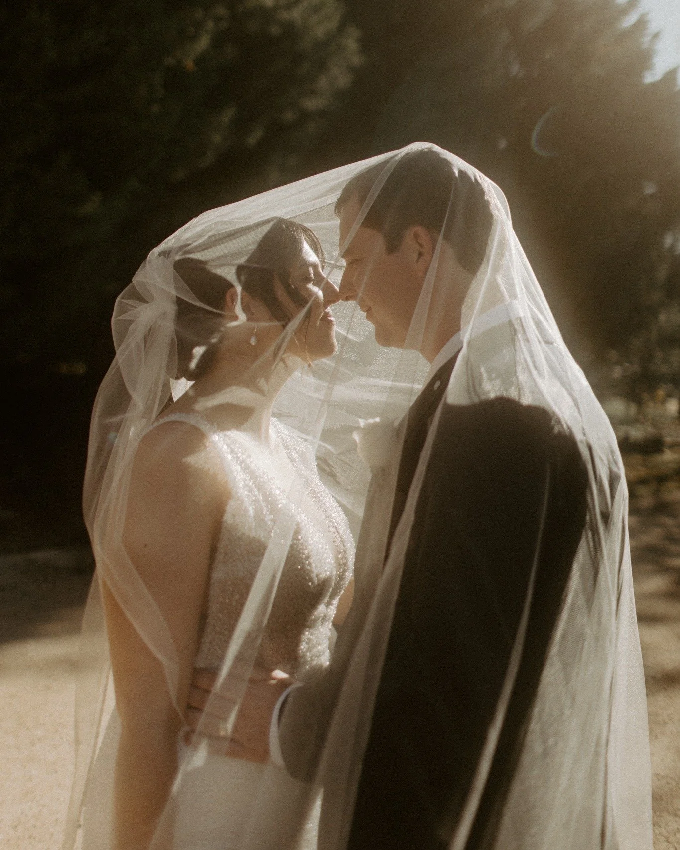 A bride and groom standing close with their foreheads touching, covered by a sheer veil outdoors during golden hour.