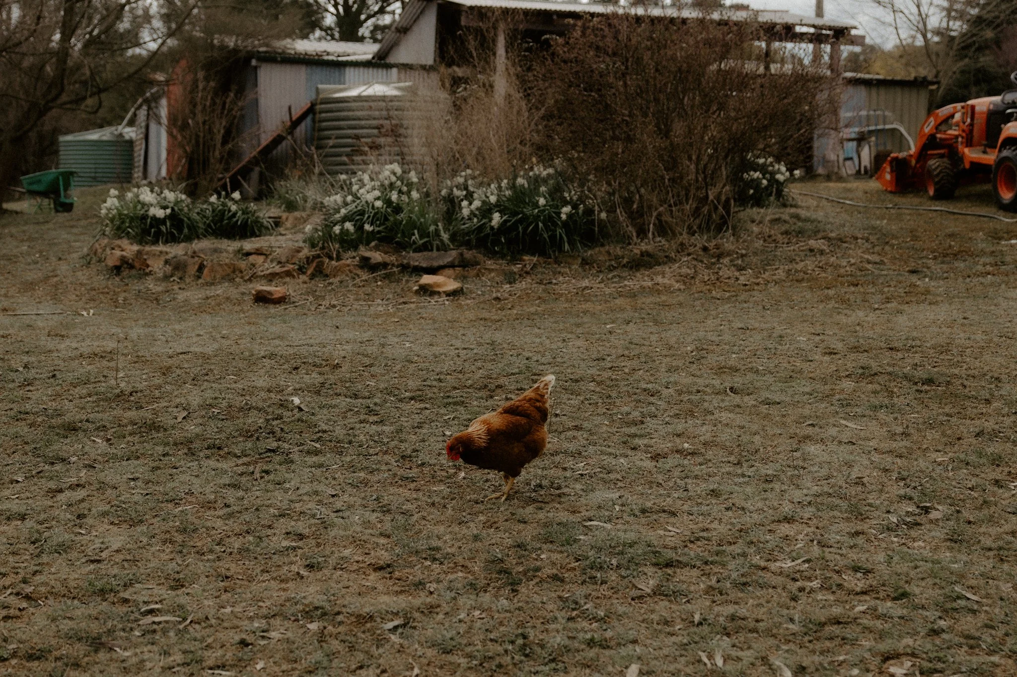 The Nunn Family-34.jpg