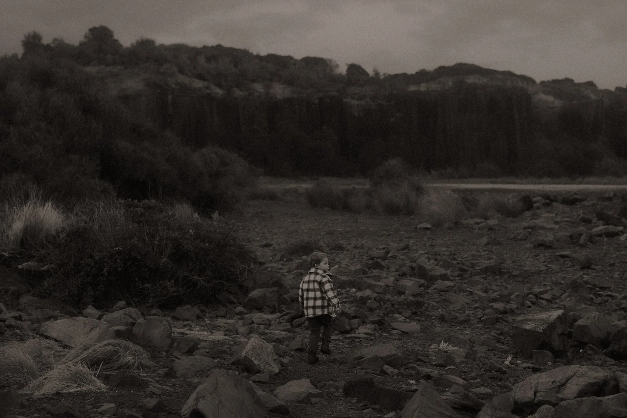 The Lane Family-58.jpg