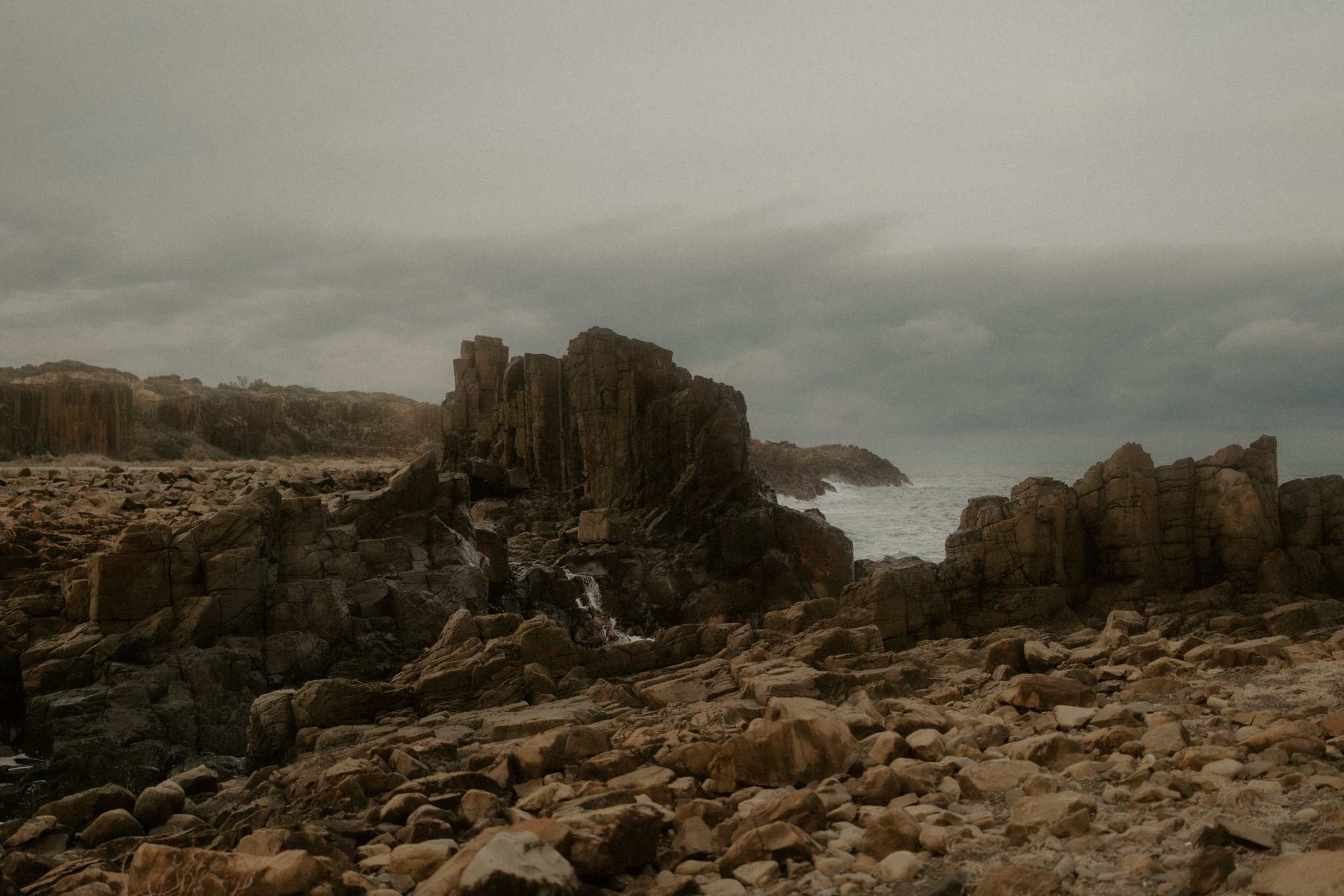 The Lane Family-43.jpg