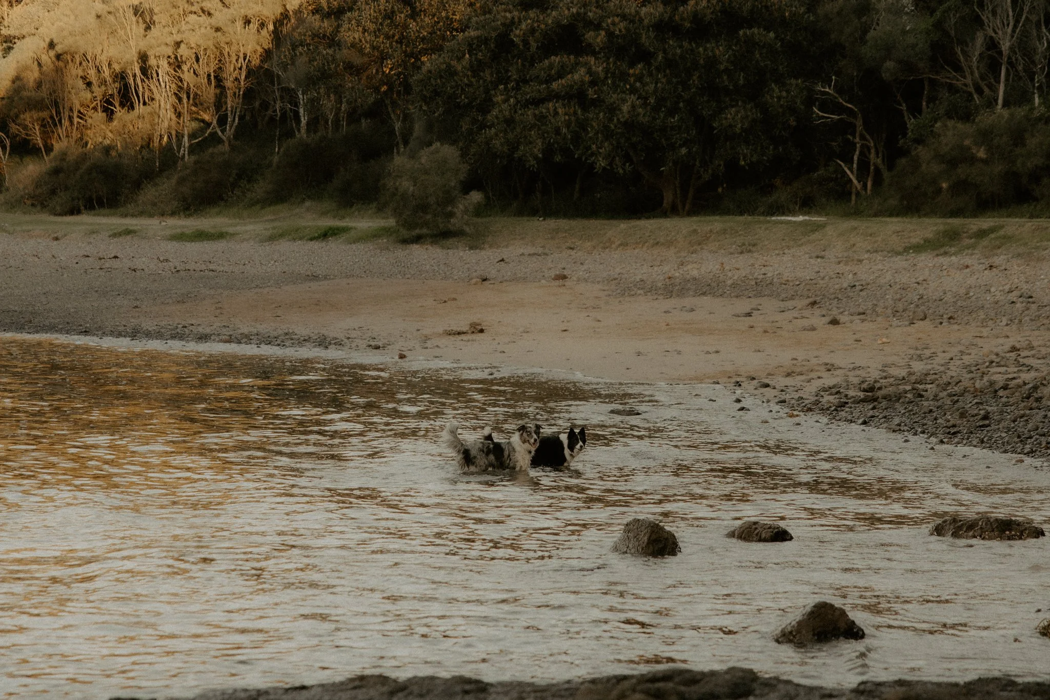 Claudia + Ryan-30.jpg