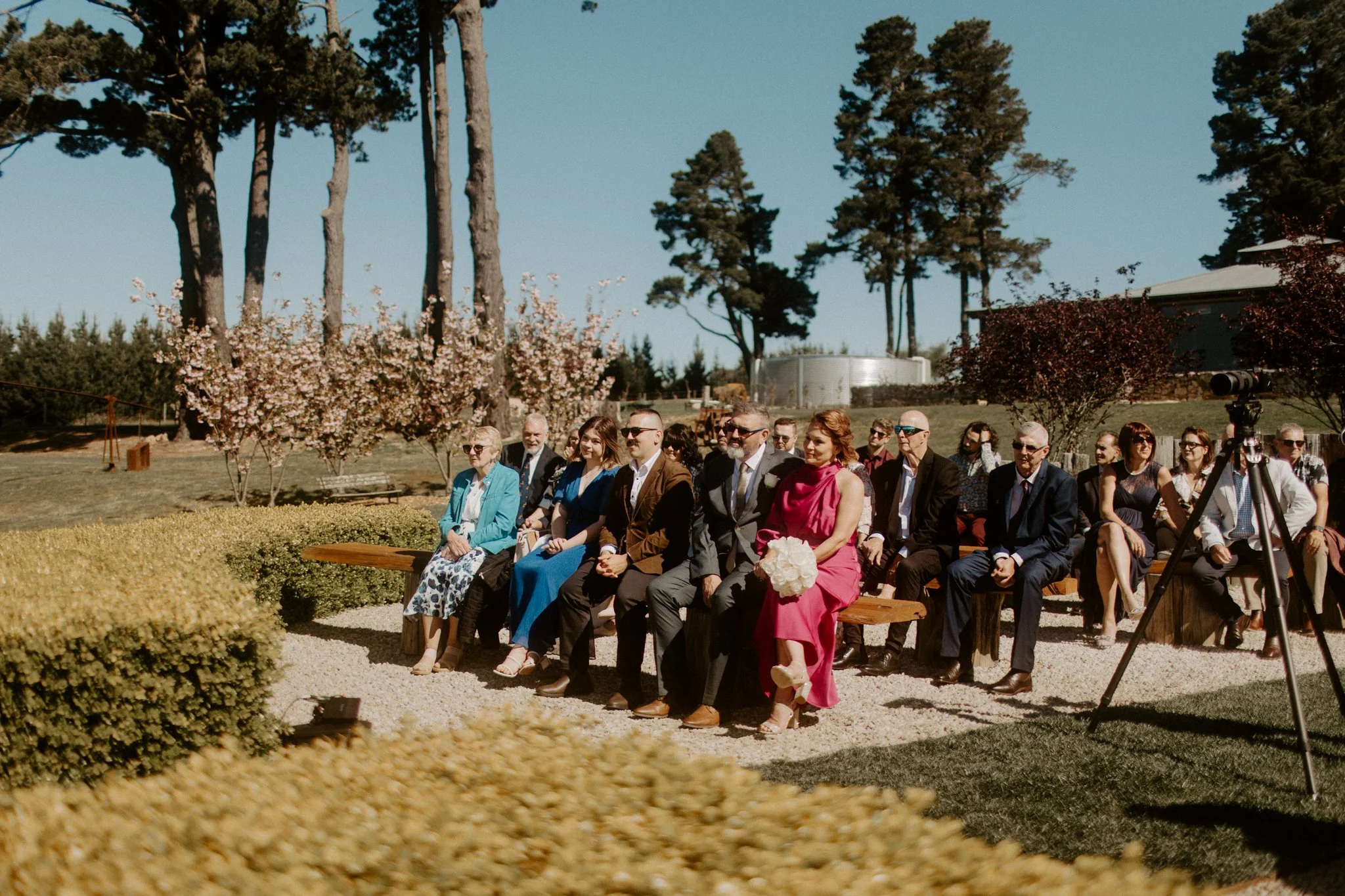 People attending an outdoor wedding ceremony seated on benches under a clear sky, with trees and flowering bushes in the background at Seclusions Blue Mountains.