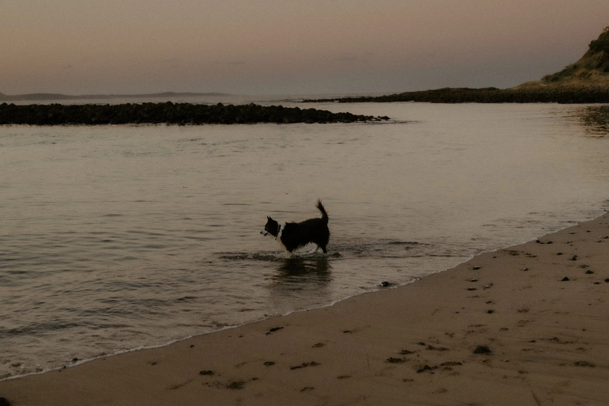 Claudia + Ryan-132.jpg