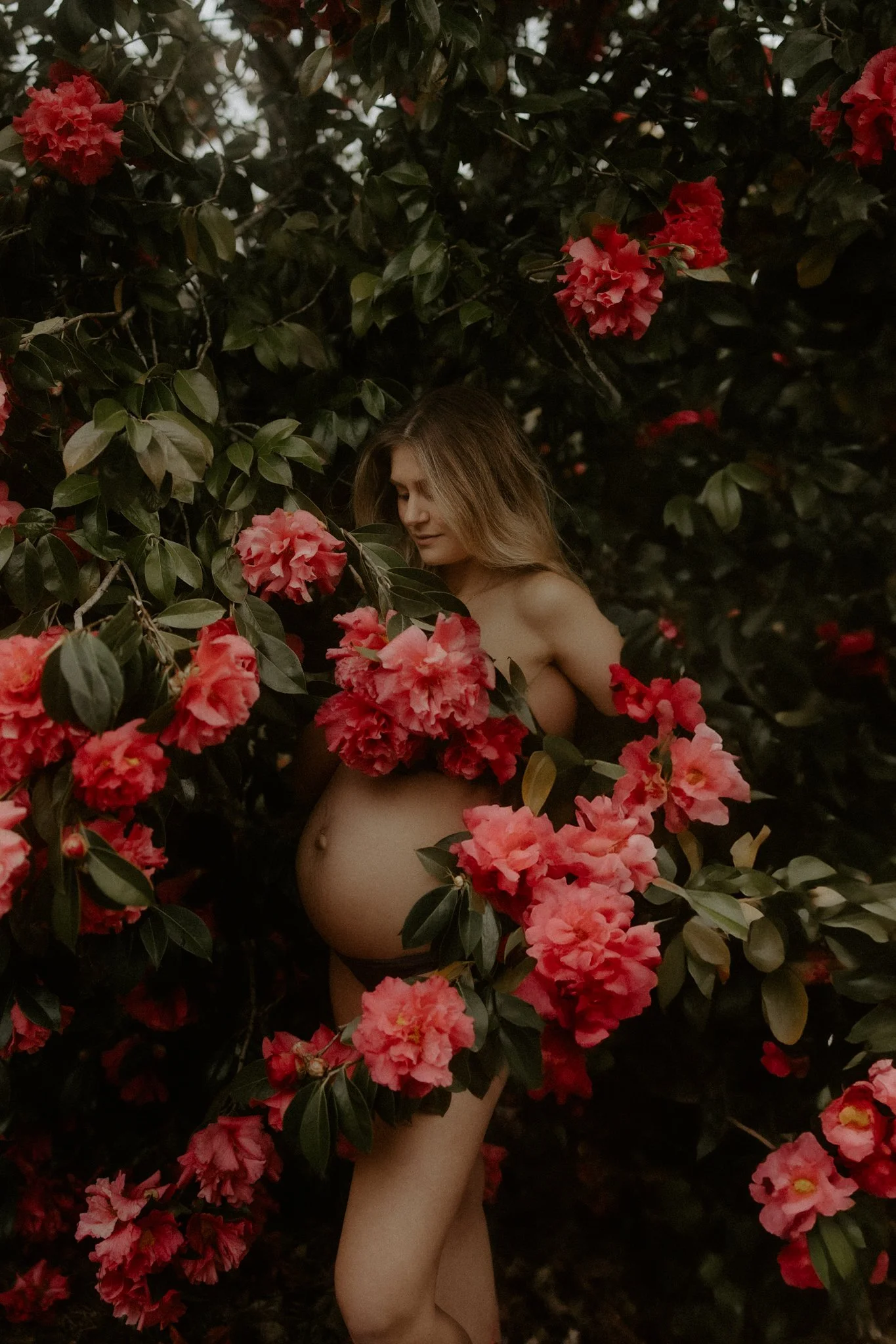 Nicole | Kangaroo Valley Maternity Session