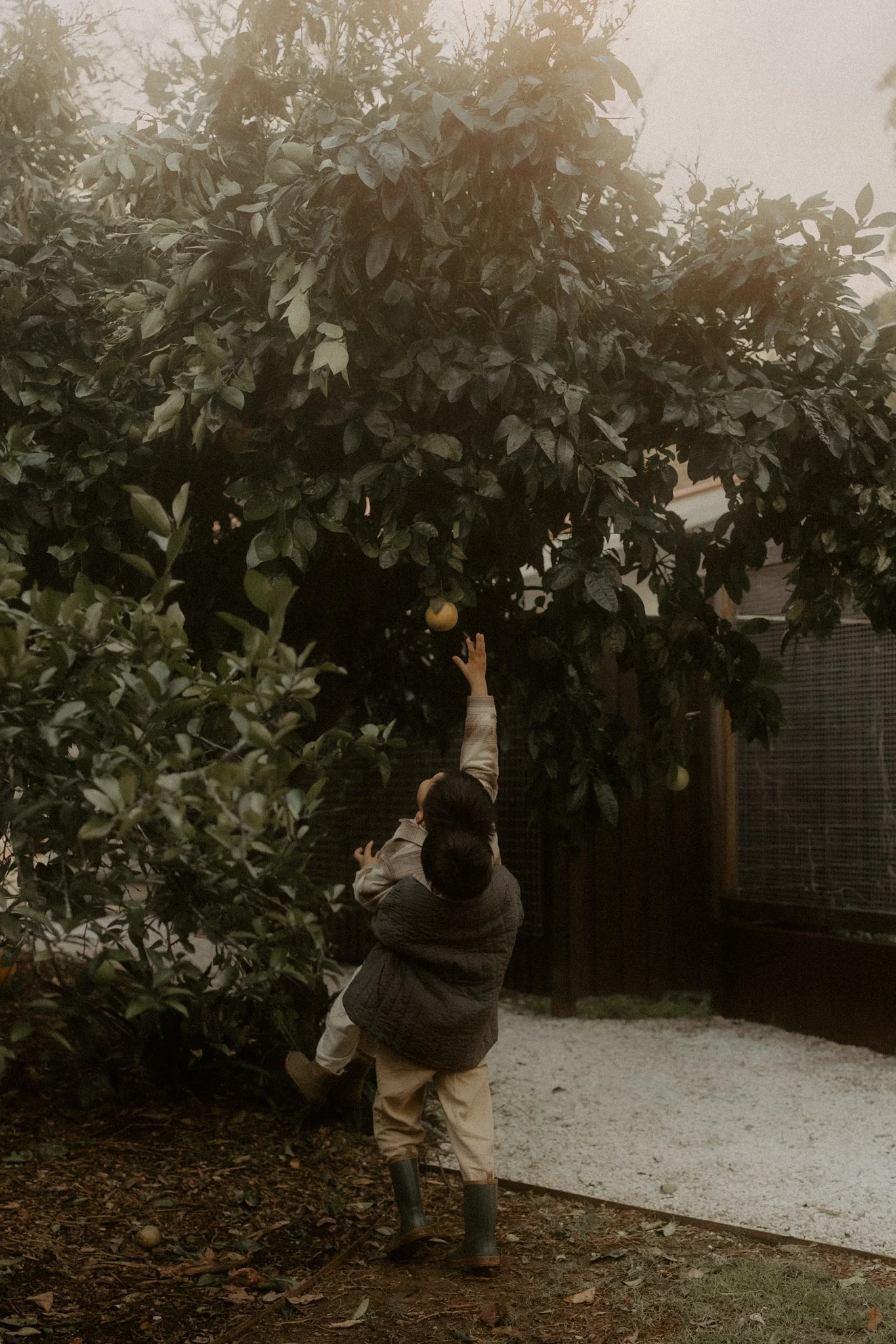 The Tiu Family-71.jpg