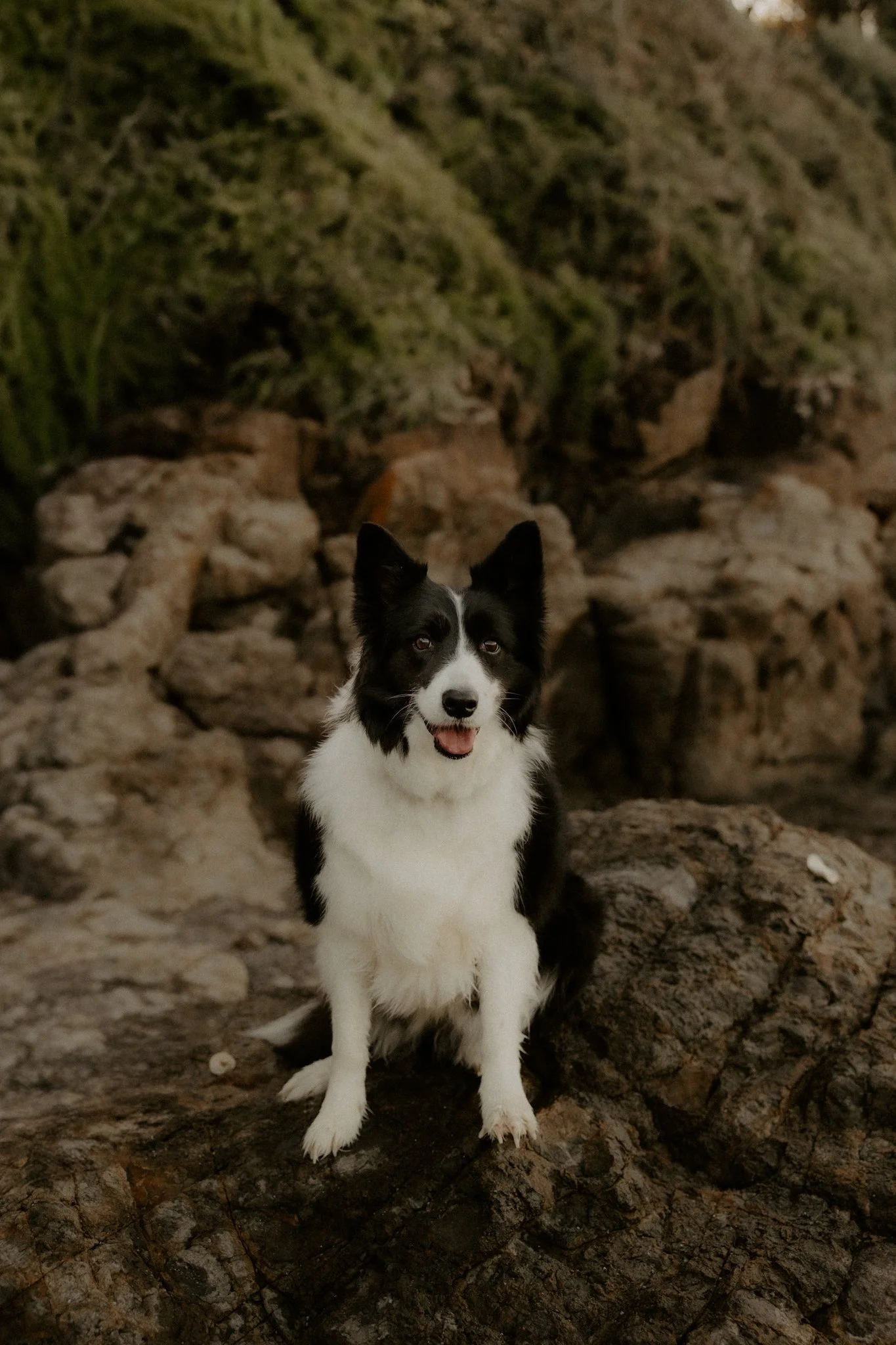 Claudia + Ryan-27.jpg