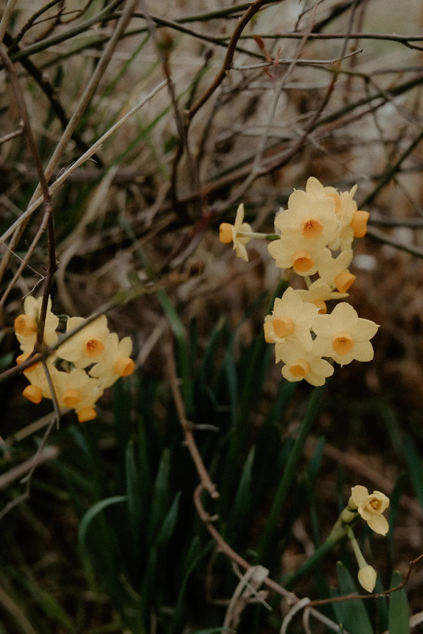 The Nunn Family-59.jpg