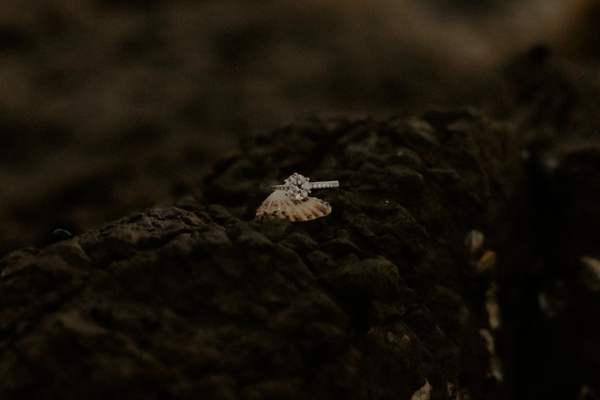 Claudia + Ryan-96.jpg